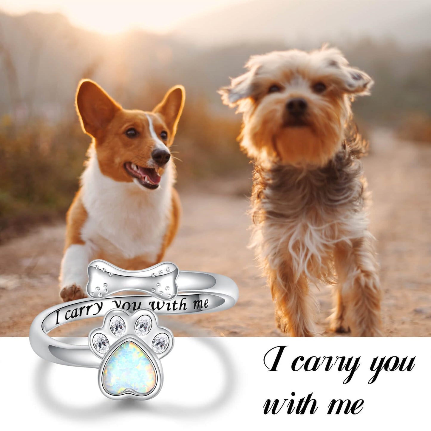 Sterling Silver Urn Ring for Dog Ashes: 925 Paw Print Memorial Opal Rings Cremation Jewelry Keepsake Remembrance Gifts for Women Pets Lover, Sterling Silver, Opal
