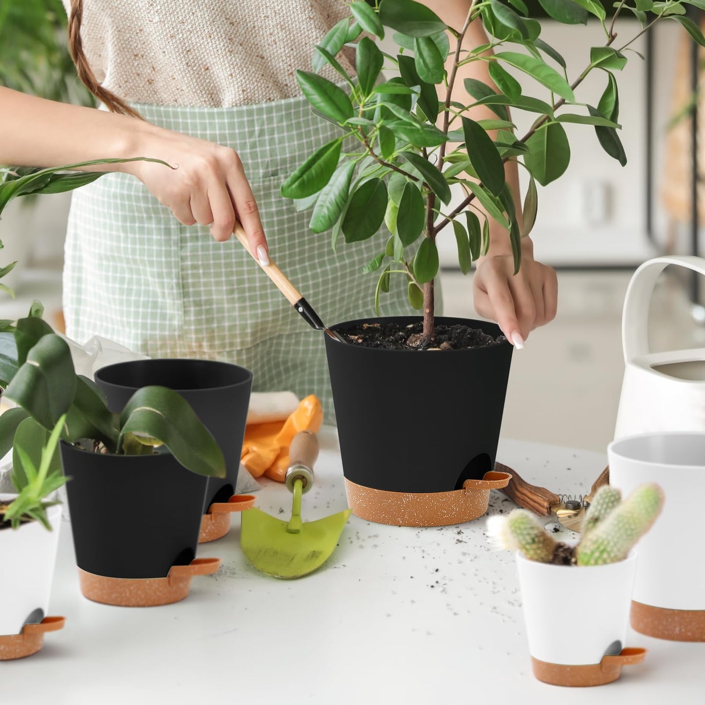 6 Pack Plant Pots Indoor 8/7/6.5/6/5.5/5 Inch Flower Pots Self Watering Planters for Indoor Plants with Drainage Hole Plastic Plant Pot for African Violet Cactus Flowers Succulents(Black)