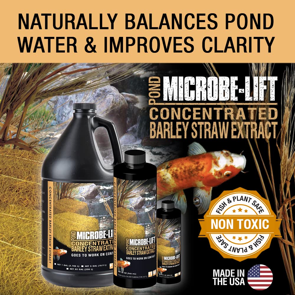 Microbe-Lift 32-Ounce Pond Concentrated Extract Barley Straw MLCBSE1L