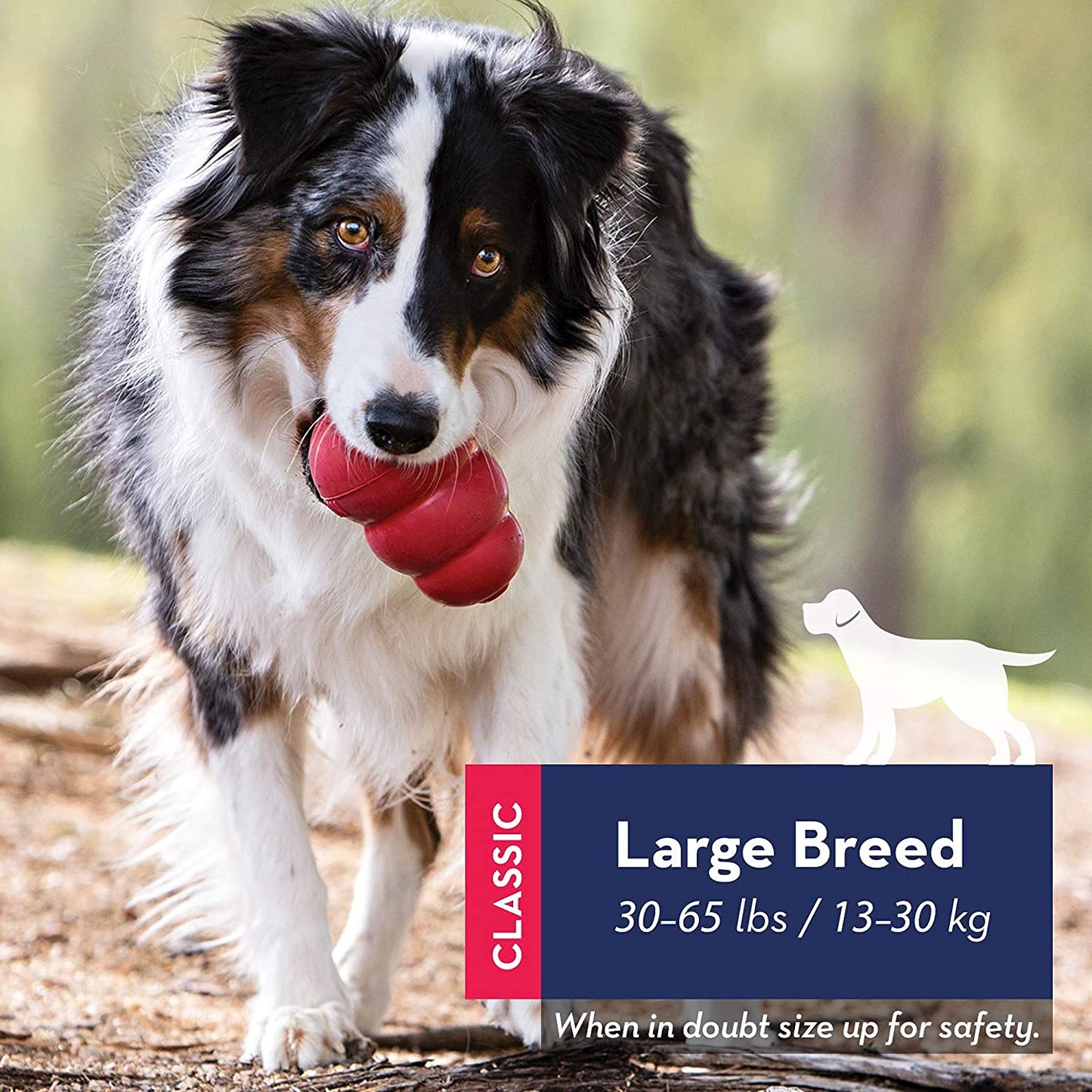 Classic Dog Toy, Durable Natural Rubber- Fun to Chew, Chase and Fetch (.2 Count (Medium))