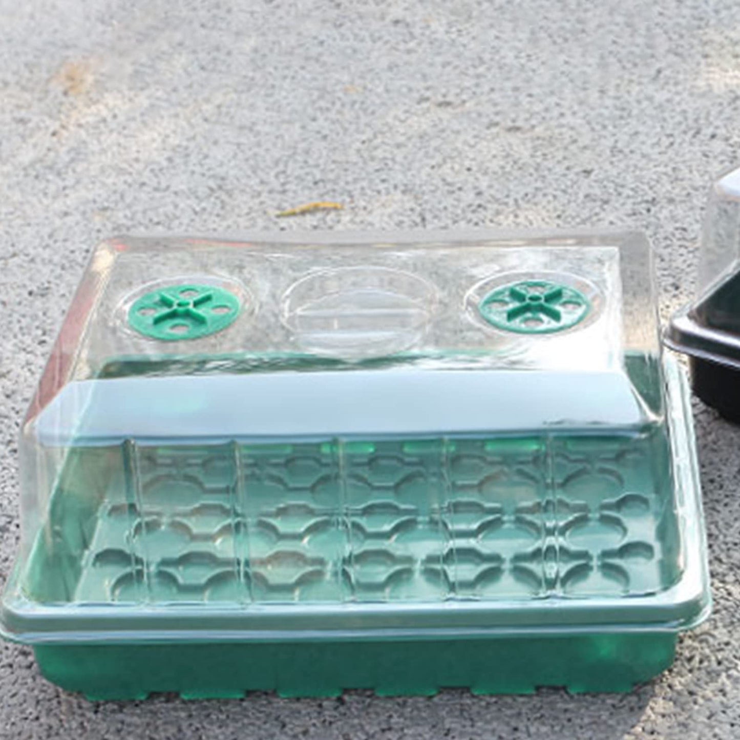 YOUEON 6 Pcs Green Seed Starter Tray with Dome and Base, 240 Cells Total Tray, Plant Germination Trays, Seed Starter Kit
