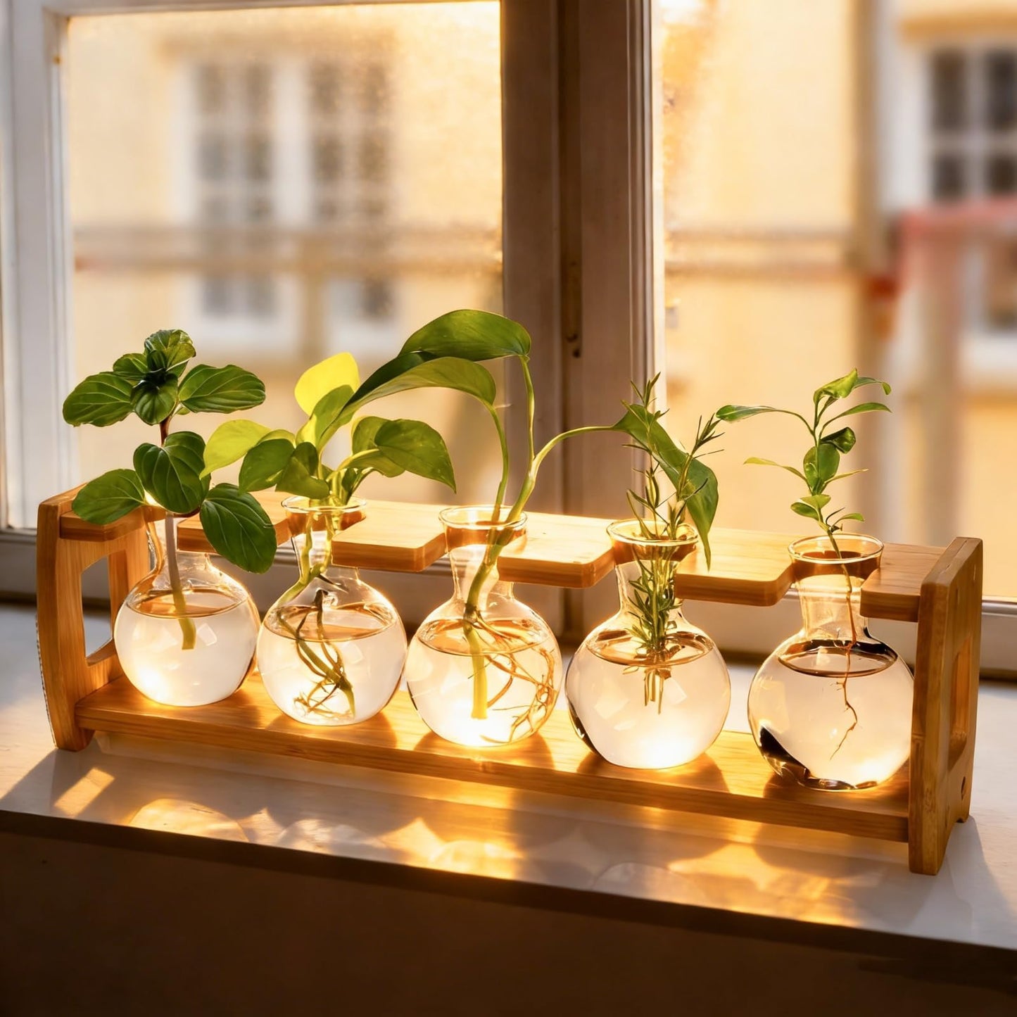 Pumtus 2 Pack Plant Propagation Stations, Desktop Plant Terrarium with Wooden Stand, Water Propagation Station, Hydroponic Plants Vase with 8 Glass Bulbs, Small Propagated Plant Jar for Home Office
