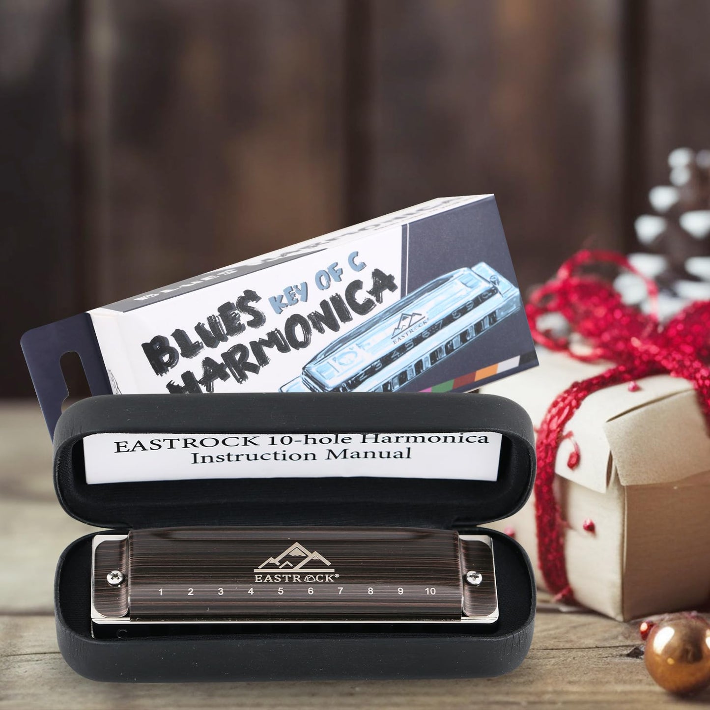 EastRock Harmonica, Blues Harmonica Mouth Organ 10 Hole C Key with Case, Diatonic Harmonica for Professional Player, Beginner, Students, Adult, Friends, Gifts(Brushed Metal)