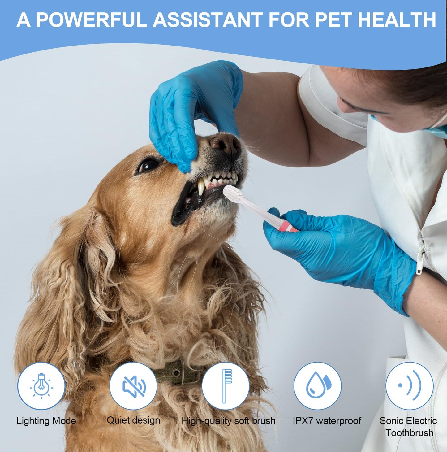 KOPBTBOY Dog/Cat Electric Toothbrush, Pet Electric Toothbrush with Searchlight/Soft Bristles, Suitable for Small Dogs and Cats