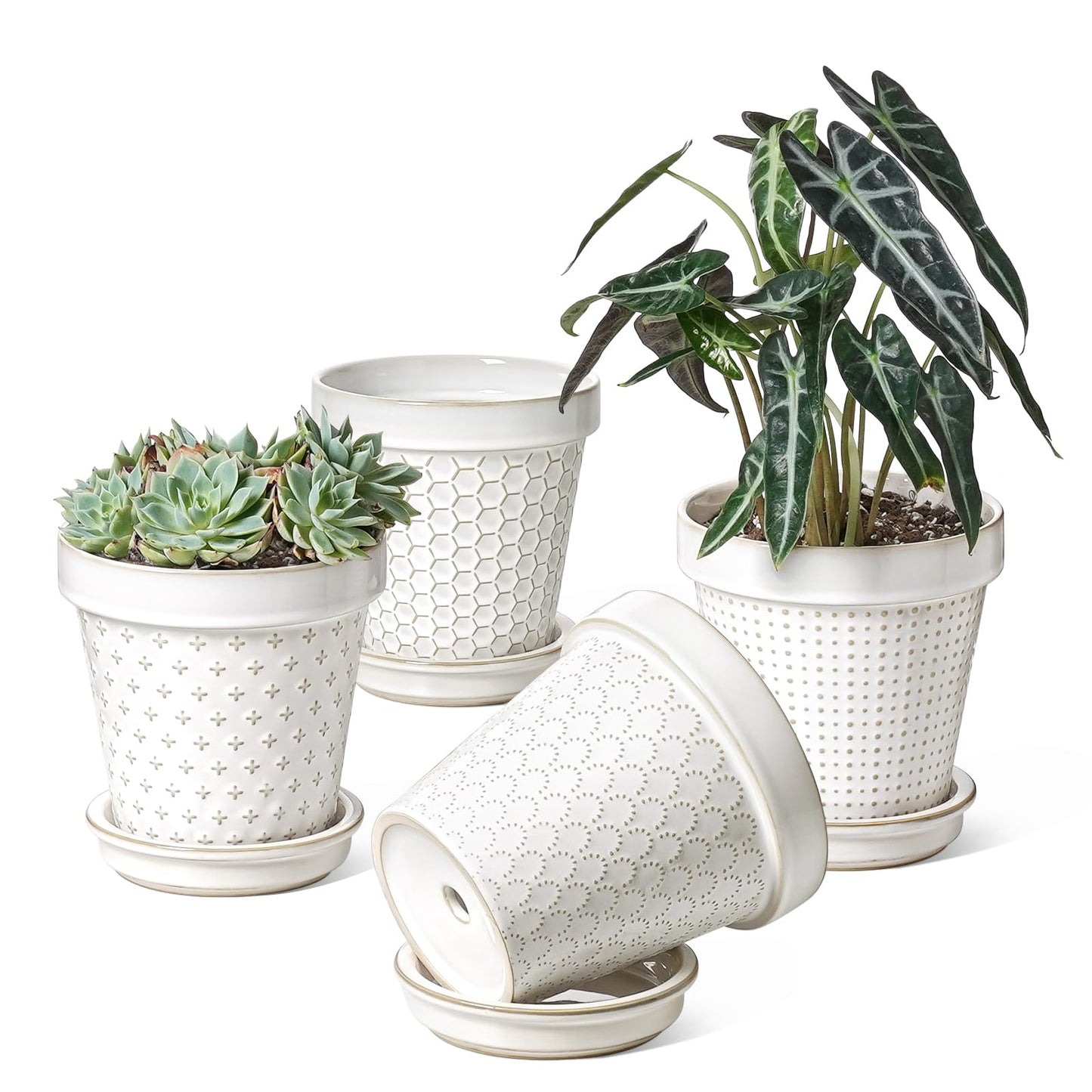 LE TAUCI Ceramic Plant Pots, 6 Inch Flower Pot with Drainage Hole & Saucer, Embossed Planter Pots for Indoor Plant Succulent, Orchid, Cactus, Home Decor - Set of 4, Arctic White