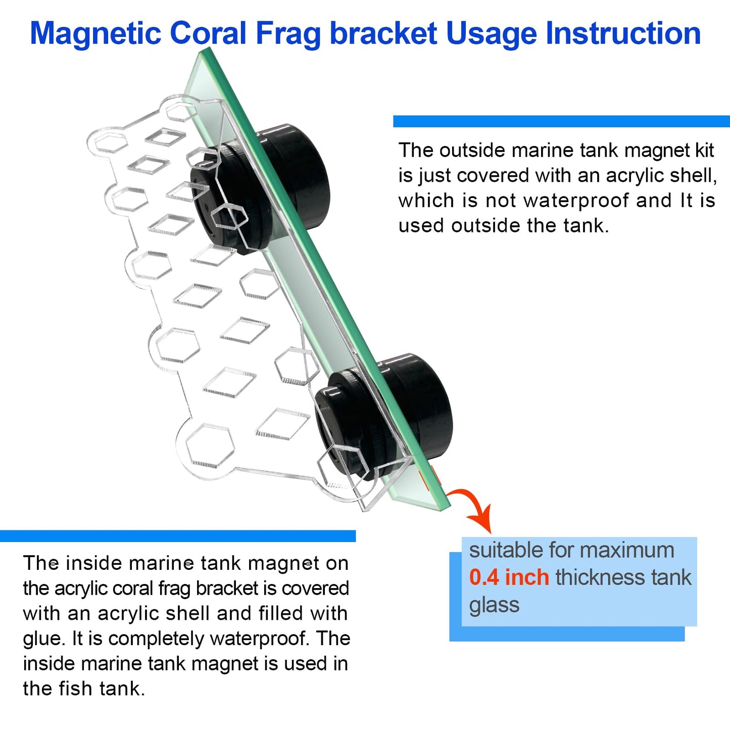 Aquarium Choice Coral Plug Holder Coral frag Rack Magnetic Holder Reef Magnets Holder for frag Rack (Coral Holder with 11 frag Plug)