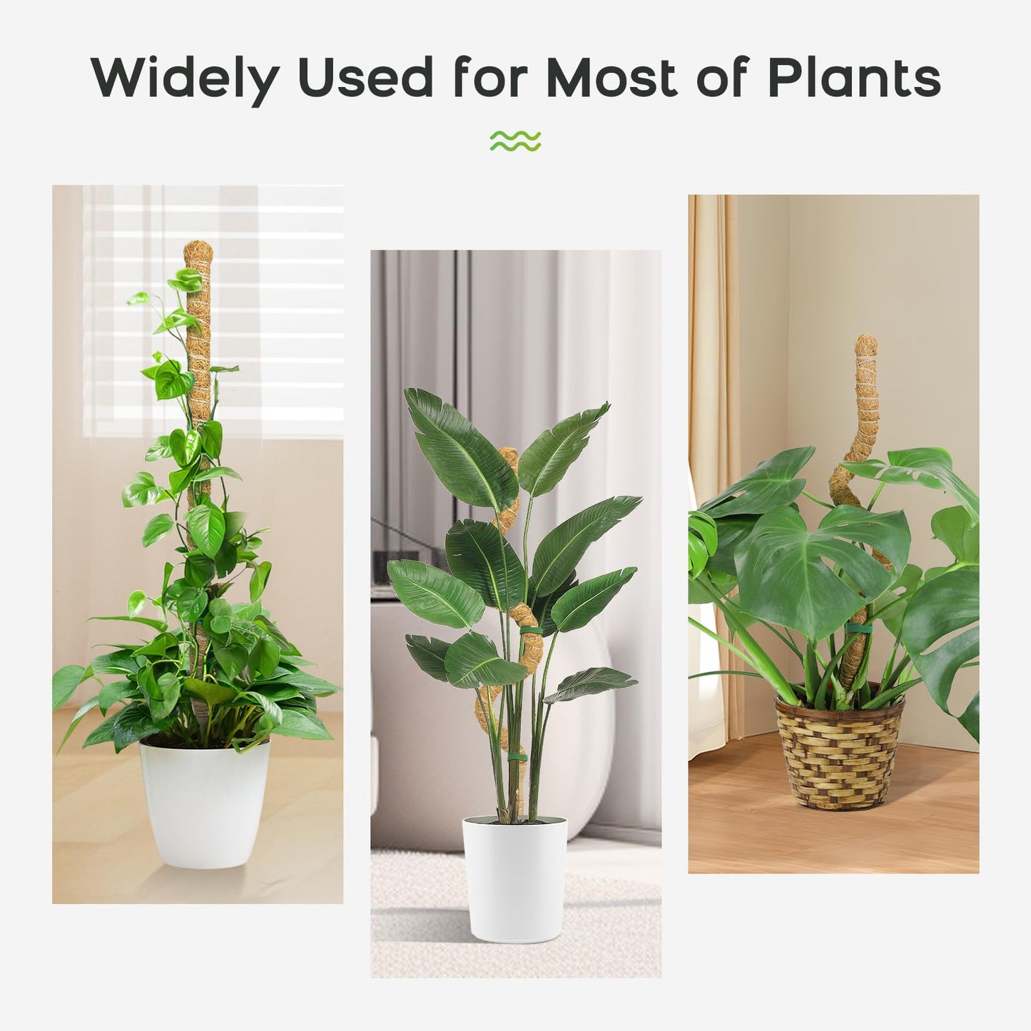 SYCARON Moss Pole, 4 PCS 47.2 Inches Moss Pole Plant Support Monstera, Coco Coir Plant Support Stakes for Small/Medium Potted Climbing Plants, Indoor Plants to Grow Upwards
