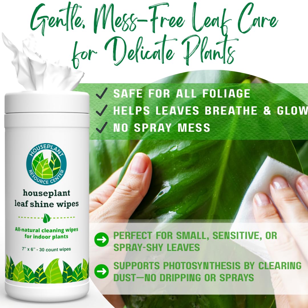 Houseplant Leaf Shine & Cleaner Wipes | Removes Dust, Dirt & Water Spots for Healthier, Glossy Leaves | Easy-to-Use Natural Leaf Cleaning Wipes for Indoor & Outdoor Plants | 30 Count