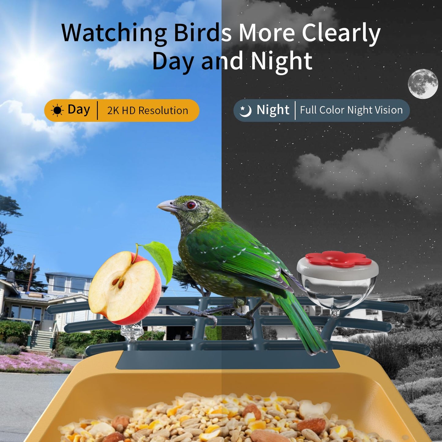oddkont Bird Feeder with Camera - Smart Bird Feeder Camera with AI Identify Bird Species, Auto Record Bird Video, Instant Notifications, 2K Video Live Stream Camera with Solar Panel for Birds Lover