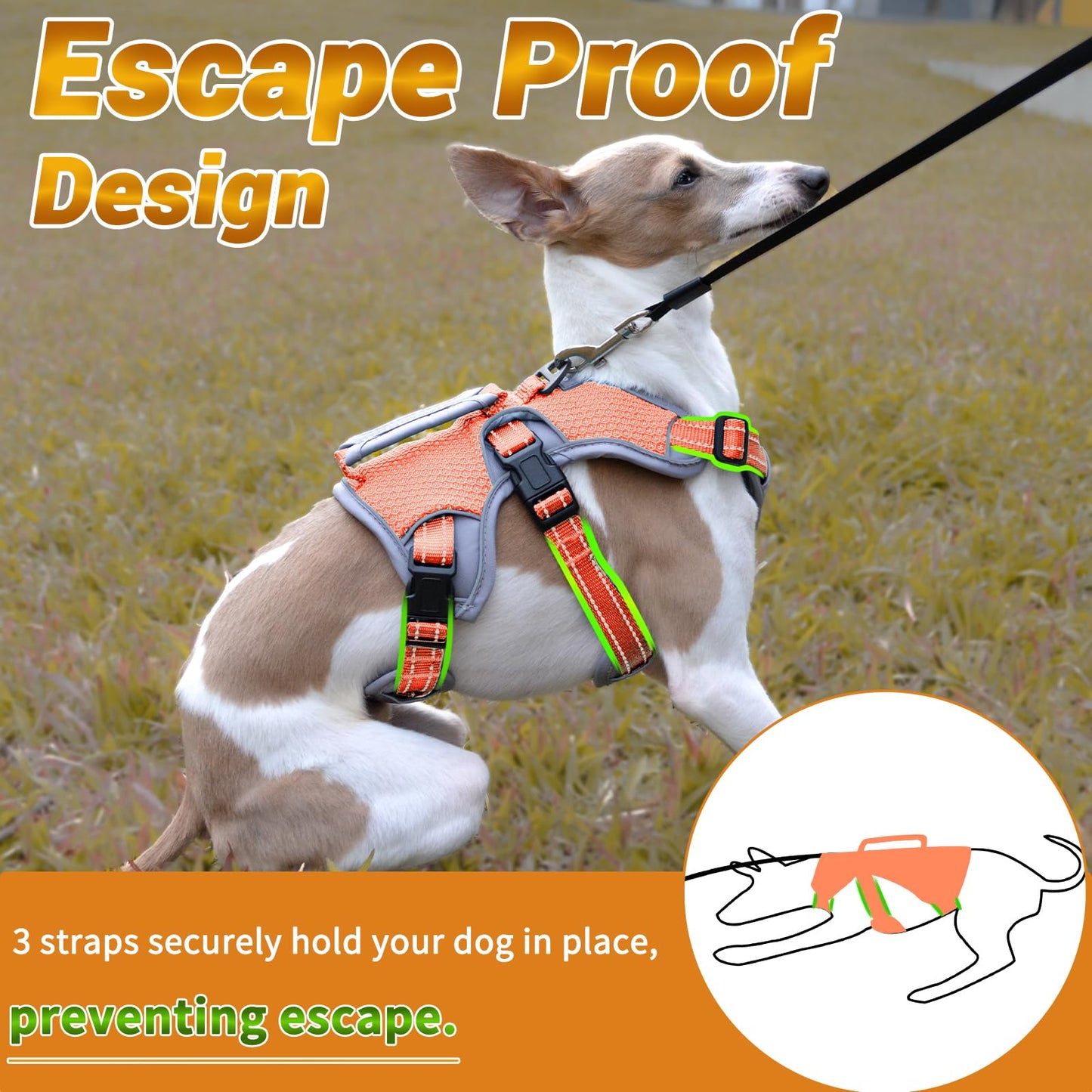 BELPRO Escape Proof Dog Harness, Multi-Use Support Dog Vest, No Pull Reflective Adjustable Pet Vest with Padded Handle, Dog Walking Harness for Big/Active Dogs (Orange,M)