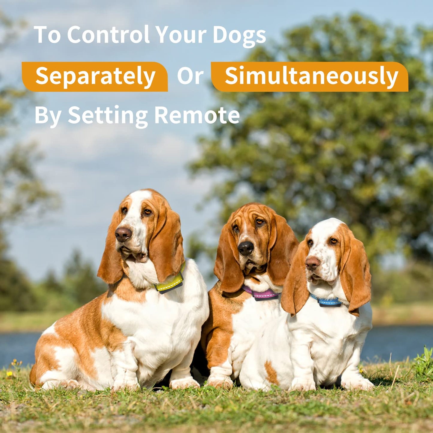 PetJoy Automatic Bark Collar for Large Dogs, Shock Collar with Remote and Auto Modes, Dog Shock Collar for 3 Dogs, Bark and Training Collar Combo - Remote 3600 Ft