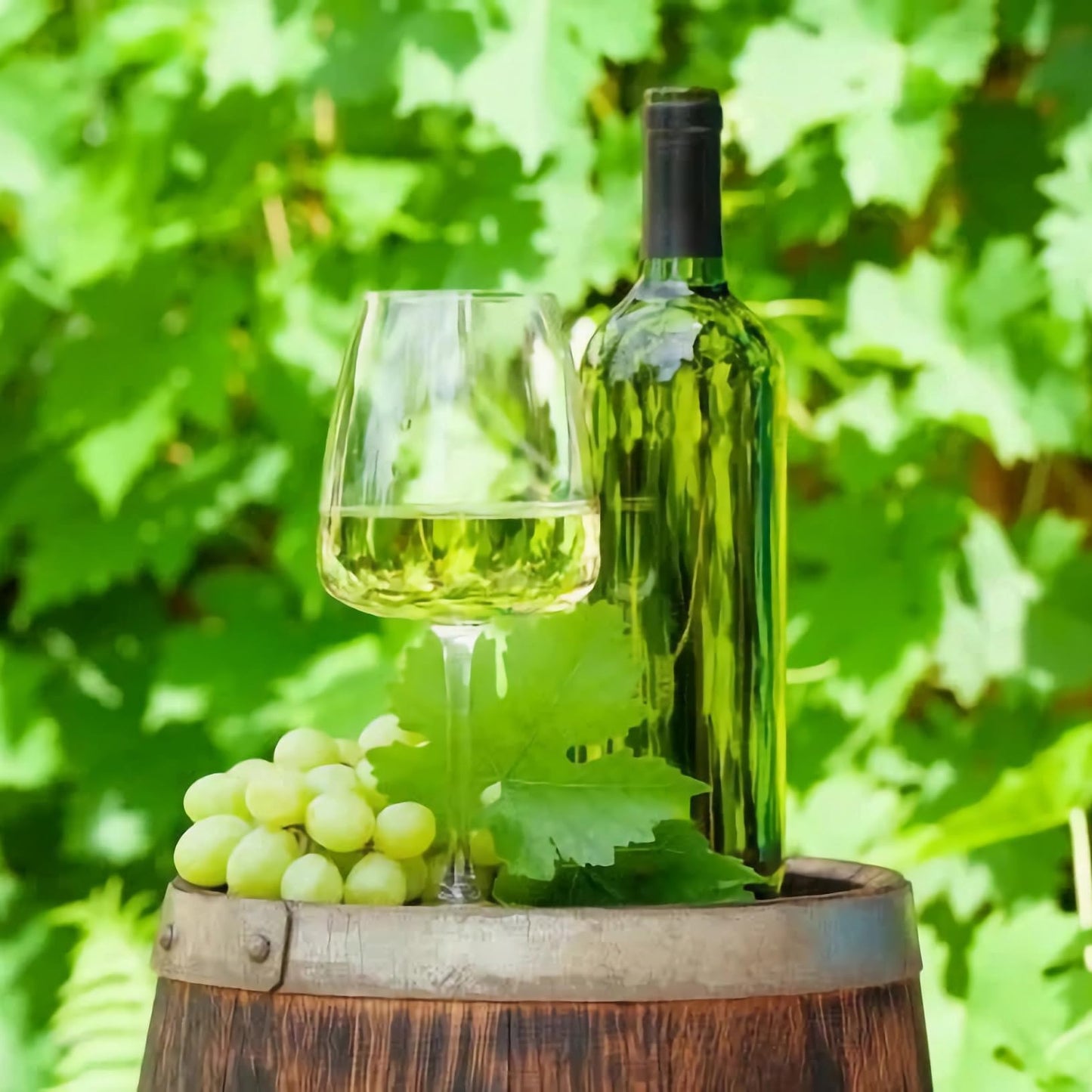 WUWEOT 12 Pack Plastic Wine Bottles, 750ml Empty Bordeaux-Style Liquor Bottles, Reusable Green Long Neck Wine Bottles with Screw Lid and Shrink Capsules Caps