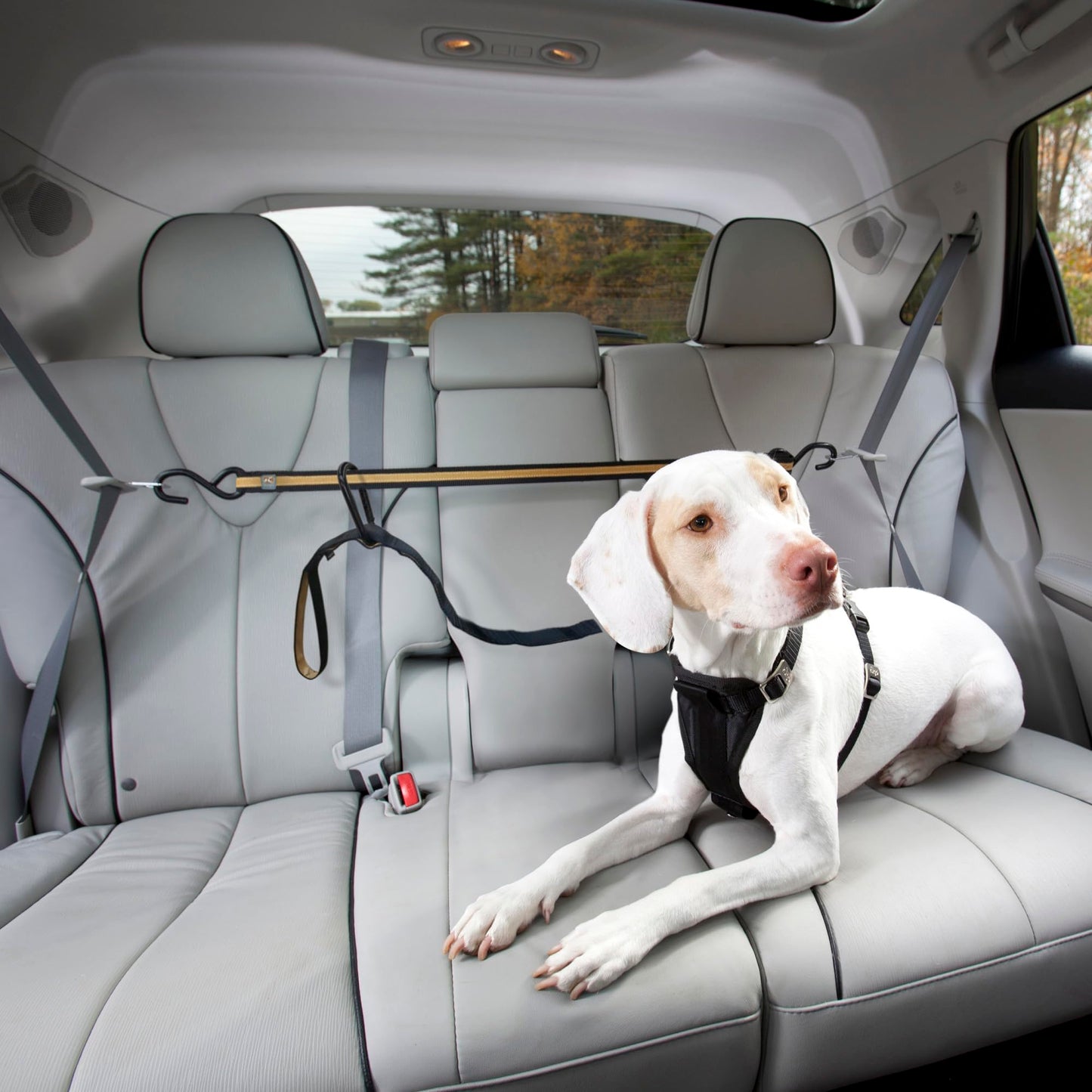 Kurgo Auto Zipline for Dogs, Adjustable Dog Safety Belt Leash, Pet Seat Belt Tether, Reduce Distracted Driving, Includes Zip Line, Leash and Carabiner Clips, 6 feet