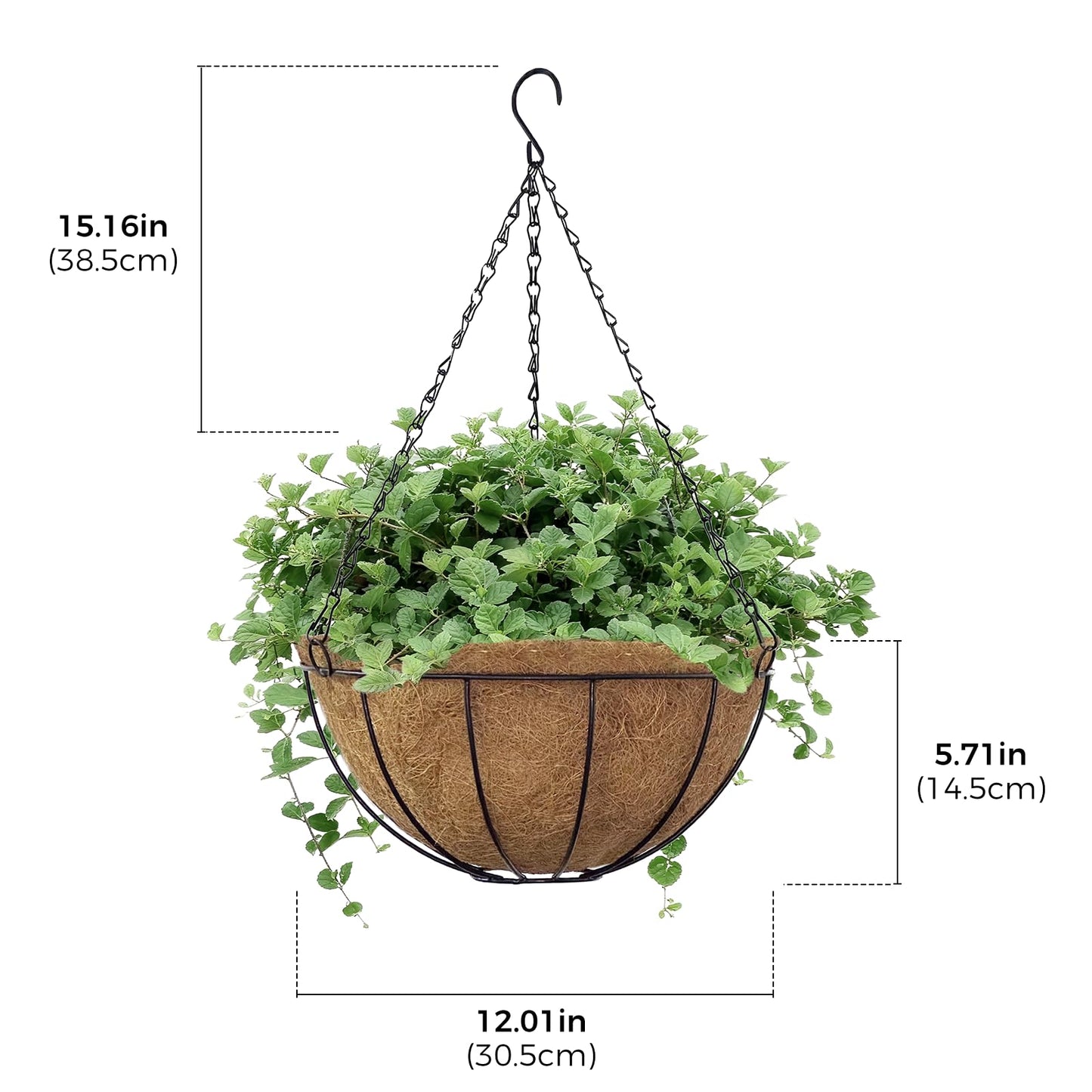 Bamworld 4 Pack 12 Inch Hanging Planter with Coconut Coir Liner and Chain, Black Metal Wire Plant Hangers Indoor for Garden Patio Balcony Porch Decor, Supports up to 20 Pounds