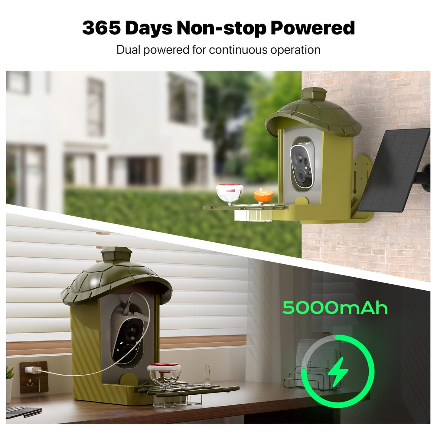 oddkont Smart Bird Feeder with Camera, Bird Feeder with Camera, 2K HD Record Video Live View with Solar Panel, AI Identify Species Auto Capture, Instant Arrival Alerts, Gift for Birds Lover