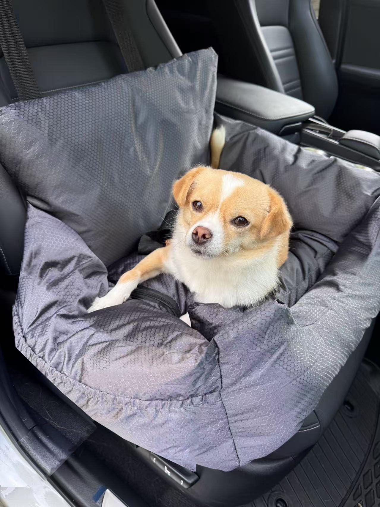 Travel Paw Car Seat for Small Dogs, Cat seat, Cat Booster, Pet Booster, Pet Seat, pet Pillow, Bed, Water Resistant, Fully Detachable with Side Pockets and Safety Clip-on Leash