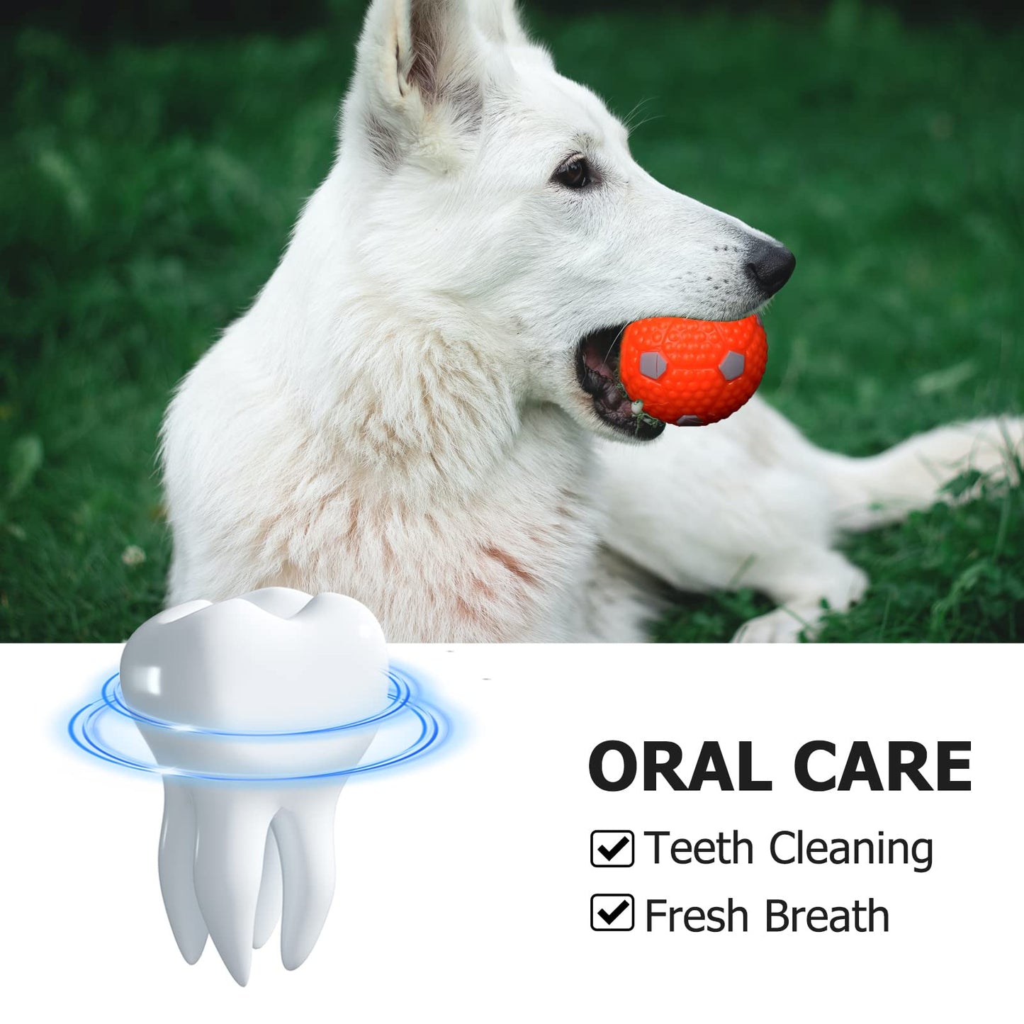 BESTHLS Dog Tennis Ball 2 inch Pet Toy Rubber Balls for Pet Puppy Tiny Small Dogs Fetching Exercise & Training (16 Pack)