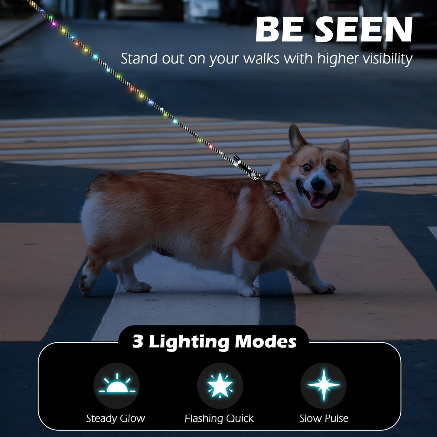 PetBonus 5 FT LED Dog Leash, Rechargeable Light Up Rope Dog Lead, 3 Lighting Modes, Thick Soft Padded Handle, Safer Night Walking for Small Medium Dogs (Black)