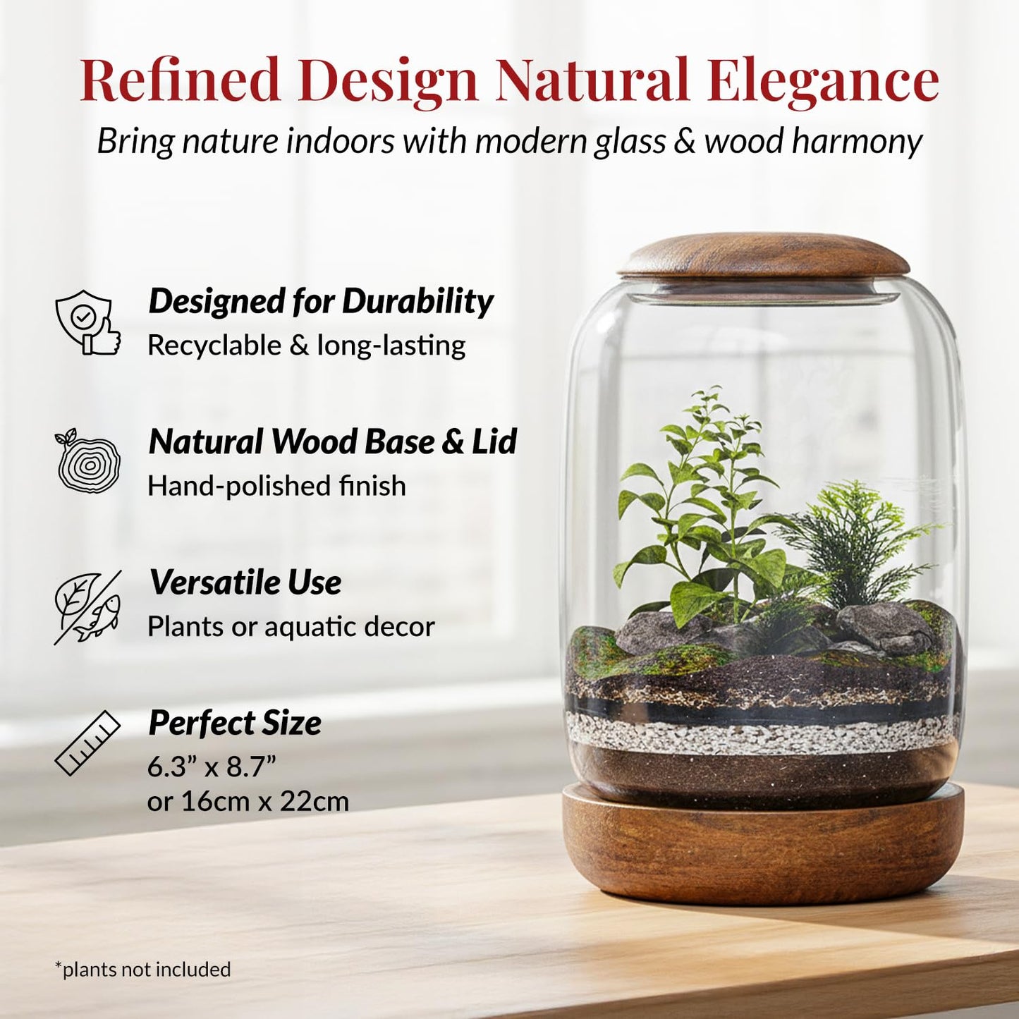 NoctisCorvus: Exclusive Glass Terrarium, Beautifully Enhanced by a Natural Wood lid and Base. Excellent for Plants and Betta Fish Tank. for Home and Office. Size: 6.3 Diameter by 8.7 Tall (Inches)