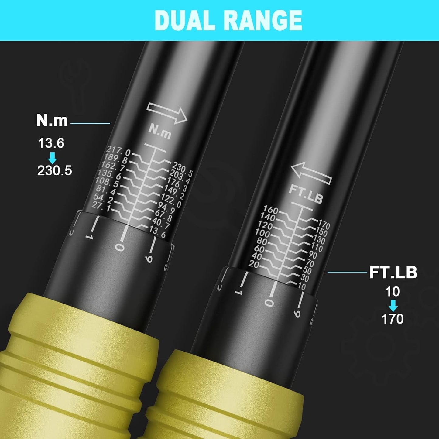 ANPUDS 1/2-Inch Drive Click Torque Wrench, 10-170 Ft-Lb/13.6-230.5 Nm, Dual-Direction Torque Wrench, 72-Tooth Dual Range Scales Torque Wrench with Quick Release Reversible Head for Motorcycle, Car