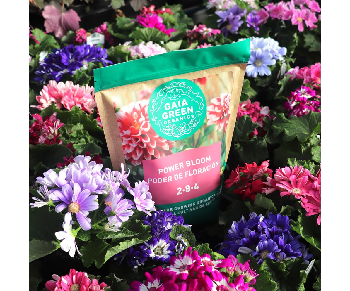 Gaia Green 2-8-4 Power Bloom 2kg - Great for Bigger Flowers, More Tomatoes, and Healthier Plants