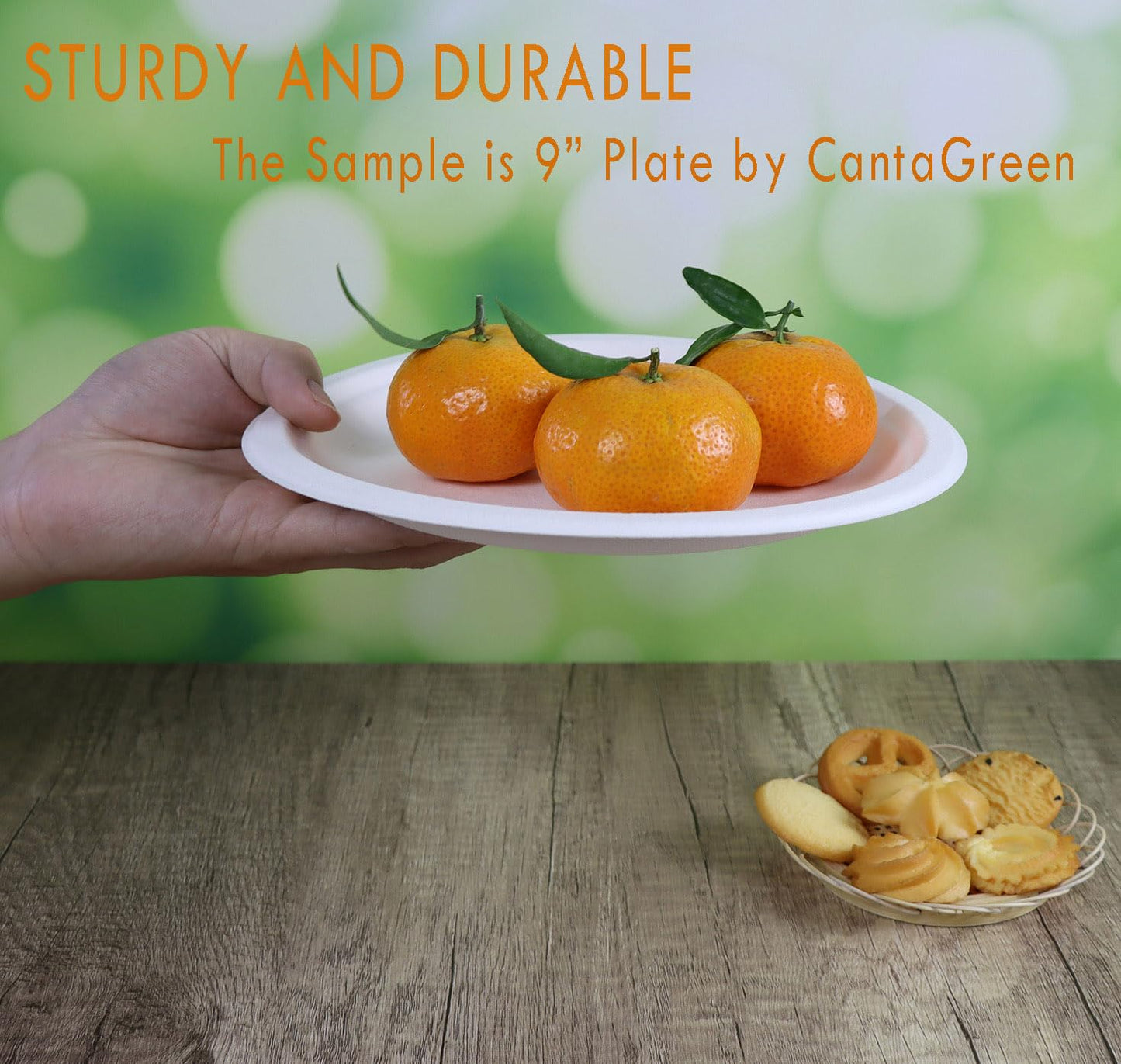 CantaGreen 200 Count Heavy Duty Compostable Paper plates, Biodegradable Bagasse and Bamboo Fiber Plate