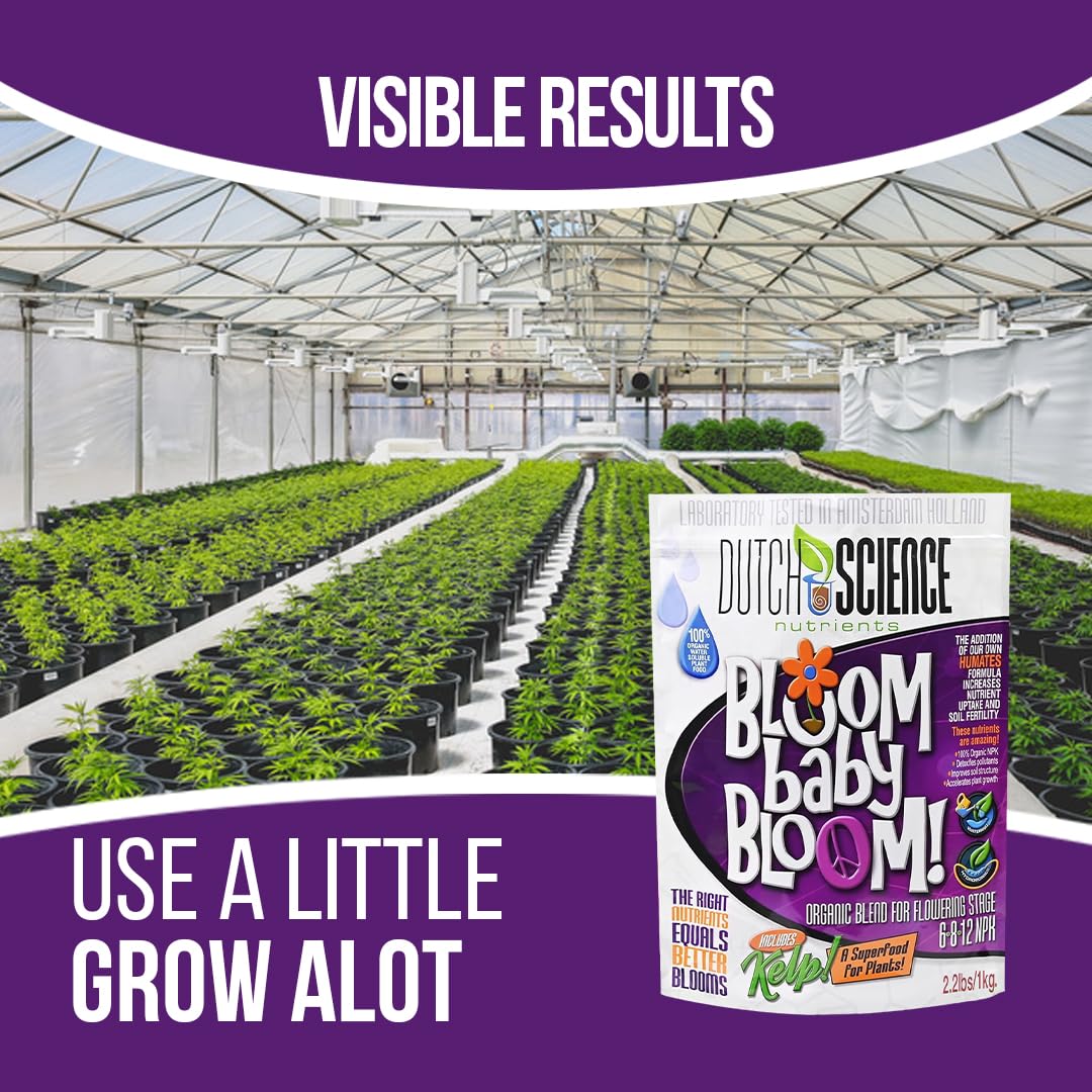 Dutch Science Nutrients Organic Fertilizer – Bloom Baby Bloom Large 1 Kg Size - Booster Fertilizer & Nutrition with 6-8-12 NPK | Organic Bud Booster for Strong Flower Growth | Outdoor & Indoor