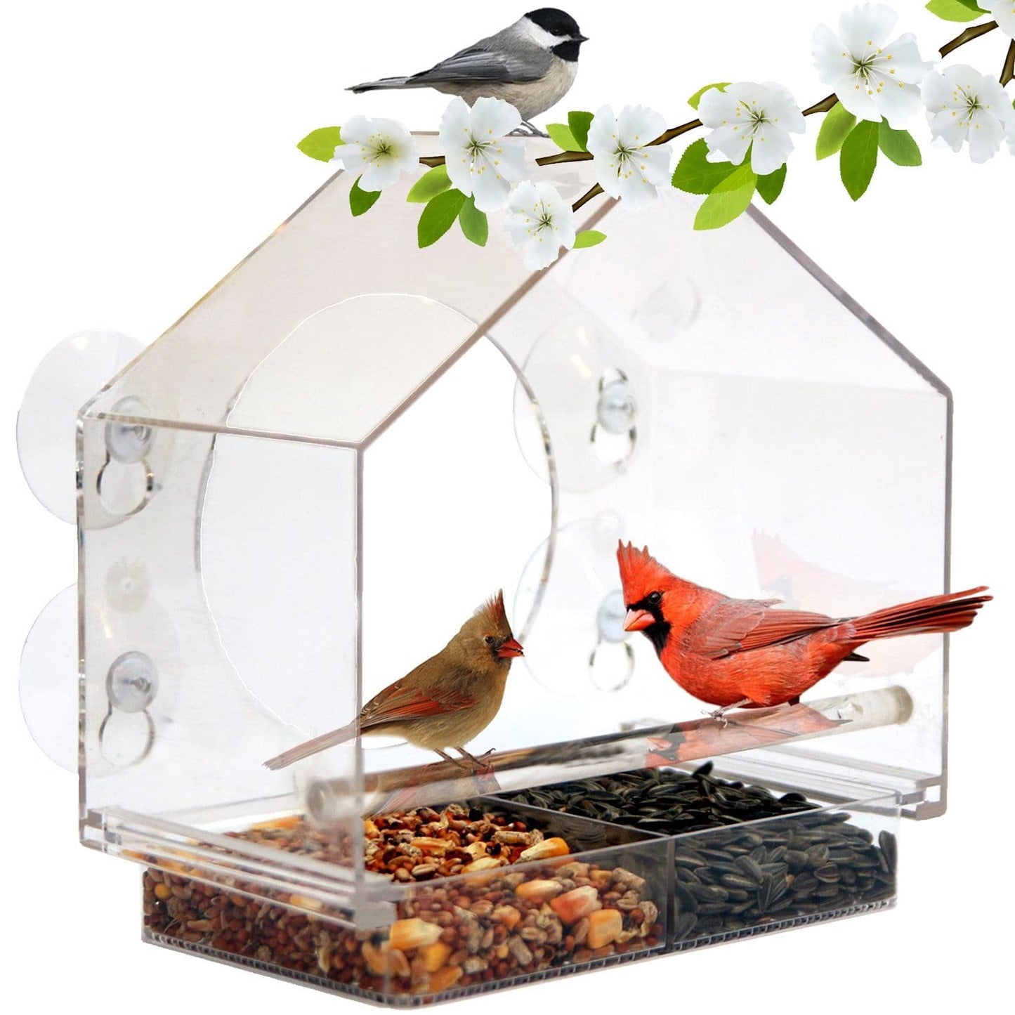 Window Feeder for Birds by Nature Anywhere. Bird Feeders Window for Wild Birds with Sliding Seed Holder and 4 Extra Strong Suction Cups. Window Bird Feeder for Outside. Bird House Shape Decor.