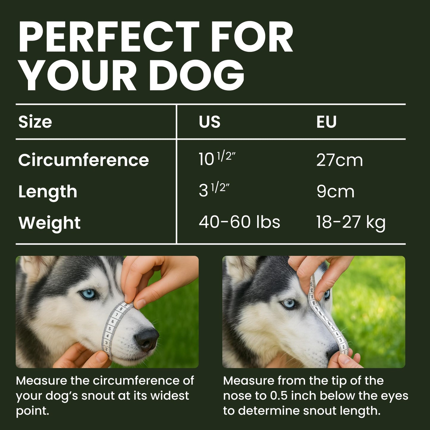 BRONZEDOG Dog Muzzle Adjustable Durable Metal Wire Basket for Large and Extra Large Dogs with Leather Straps Breathable, Drinkable, Training, Prevents Biting (Stainless Steel, Husky & Doberman)