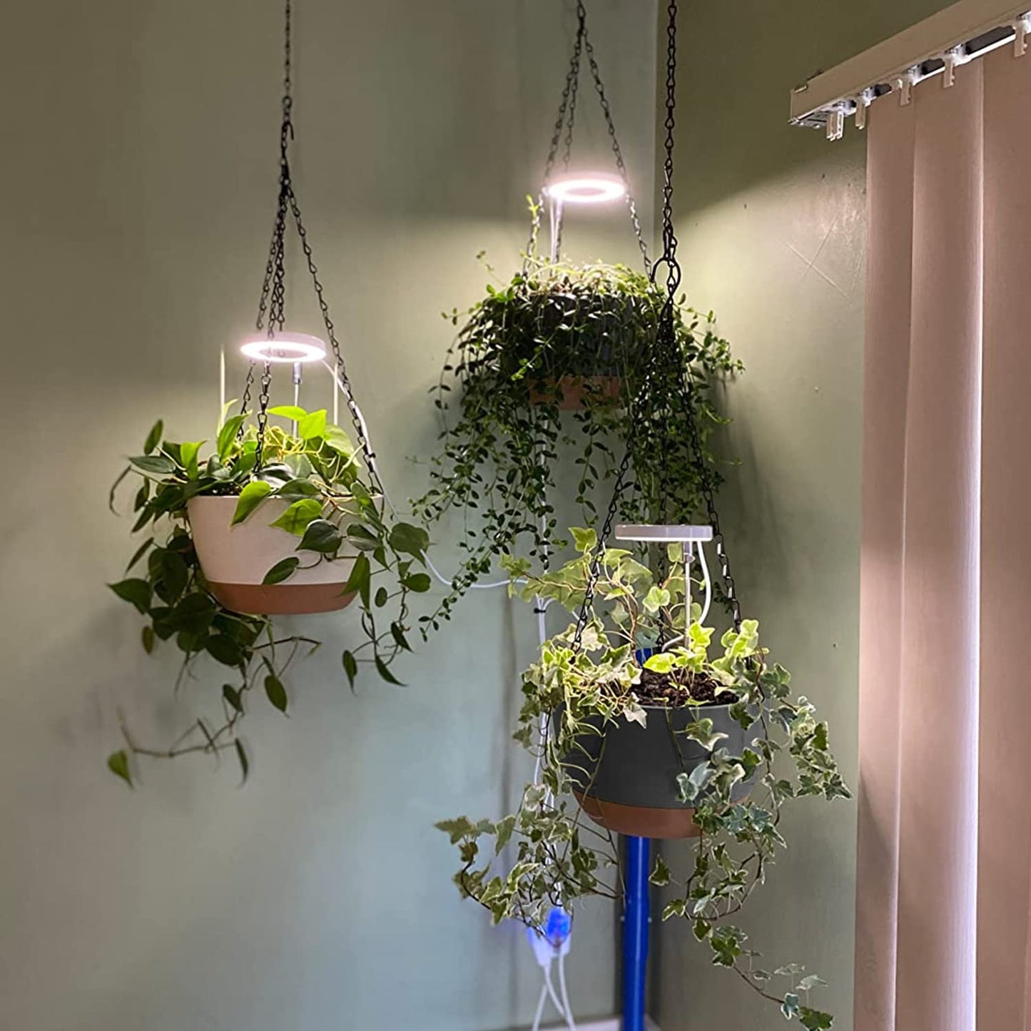 2 Pack Hanging Planters for Indoor Plants, Self-Watering Hanging Planter Holder with Pot, Drainage Holes, Removable Saucer for Garden Home (Black, 10 Inches)