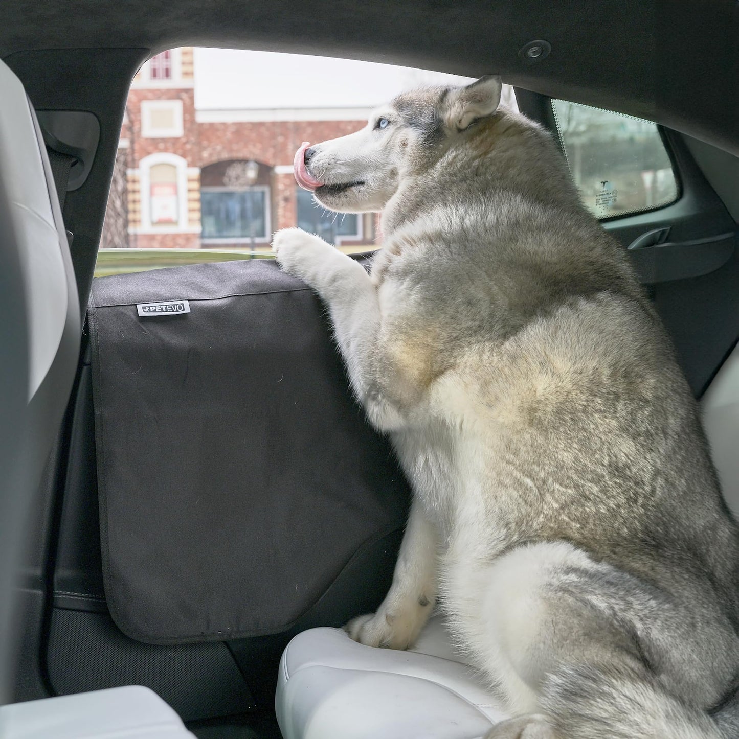 Car Door Protector – Pet Dog Car Door Cover Protector, Guard for Car Doors, Anti Scratch Waterproof, Safe for Dogs, Fits Any Vehicle