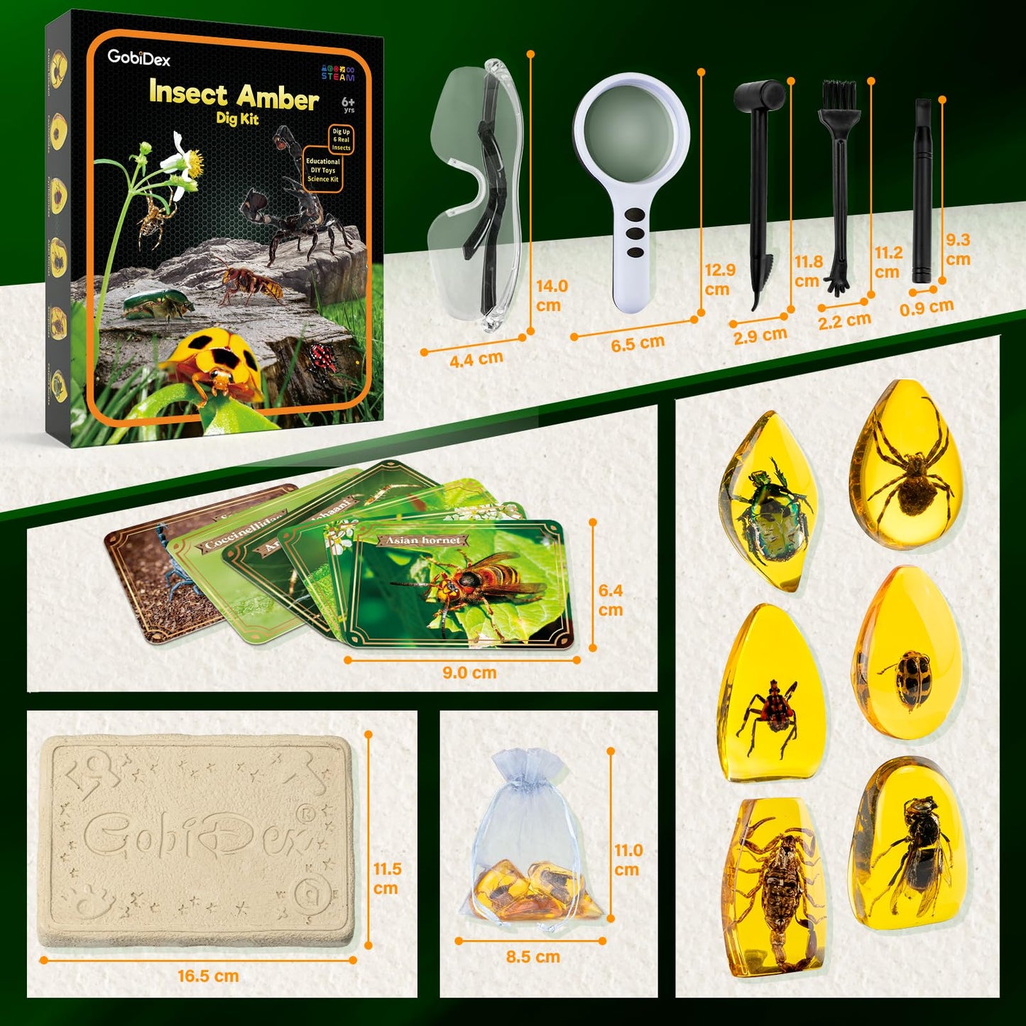 Amber Dig Kit - Excavate 6 Insects Specimens, STEM Geographic Educational Bugs Toys, Science Excavation Kit for Fun Party Favors, Bug Collection for Kids Age 6+