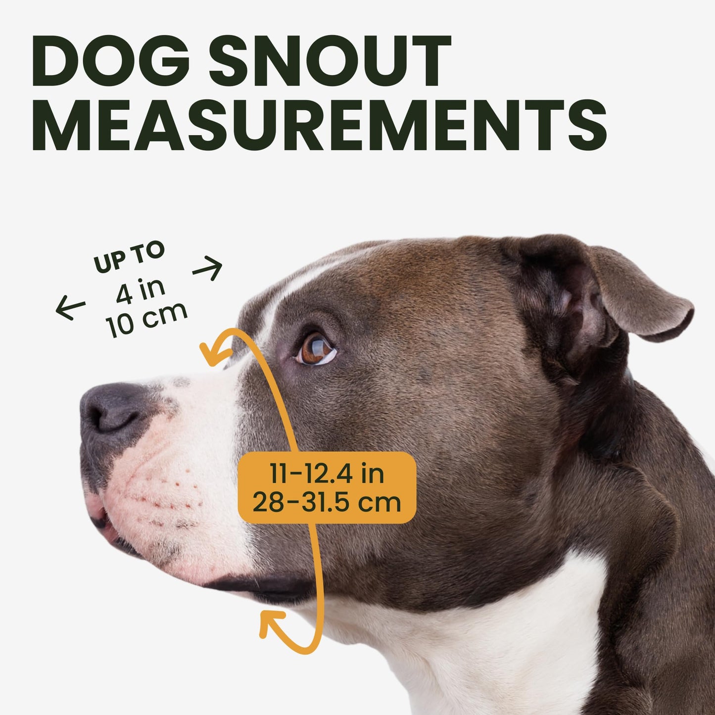 BRONZEDOG Pitbull Dog Muzzle Metal Mask Amstaff Wire Basket Pit Bull Adjustable Leather Straps for Large Dogs (Black)