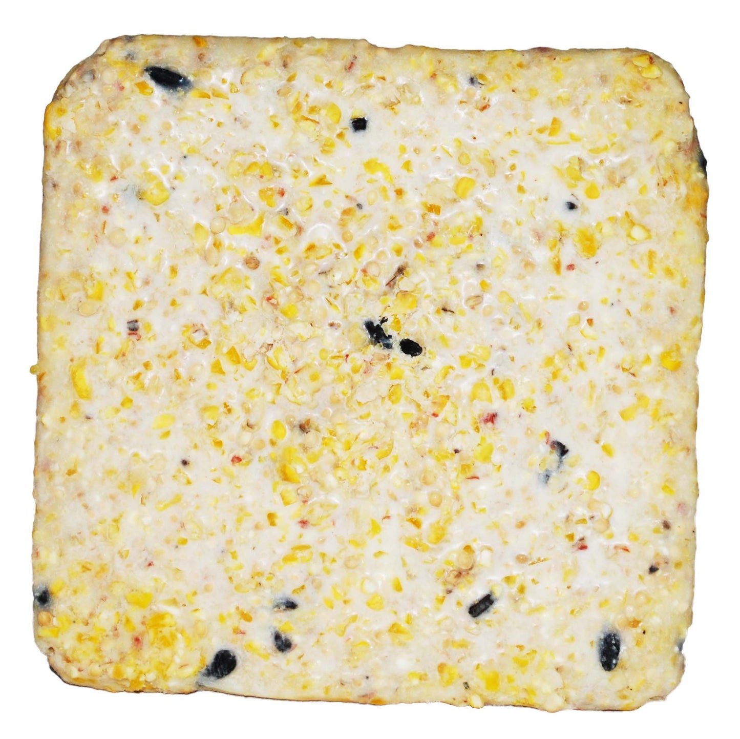 Wildlife Sciences 240 Wild Bird Suet Plus Cakes, Pack of 10