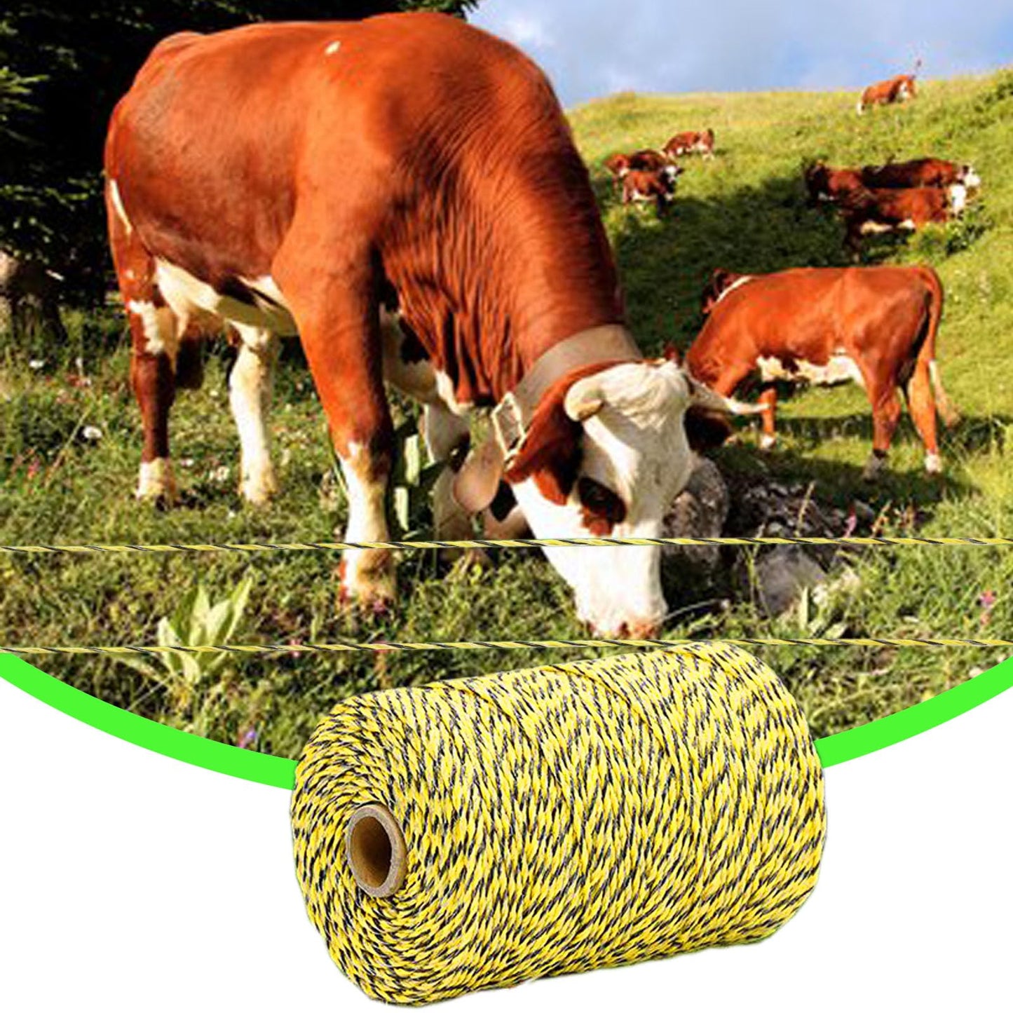 656 Feet Electric Fence Wire with 50 Pcs Electric Fence Insulator, Portable Electric Fencing Polywire Rope Line, 9 Steel Strands with 1 Pcs Insulator Socket Tool