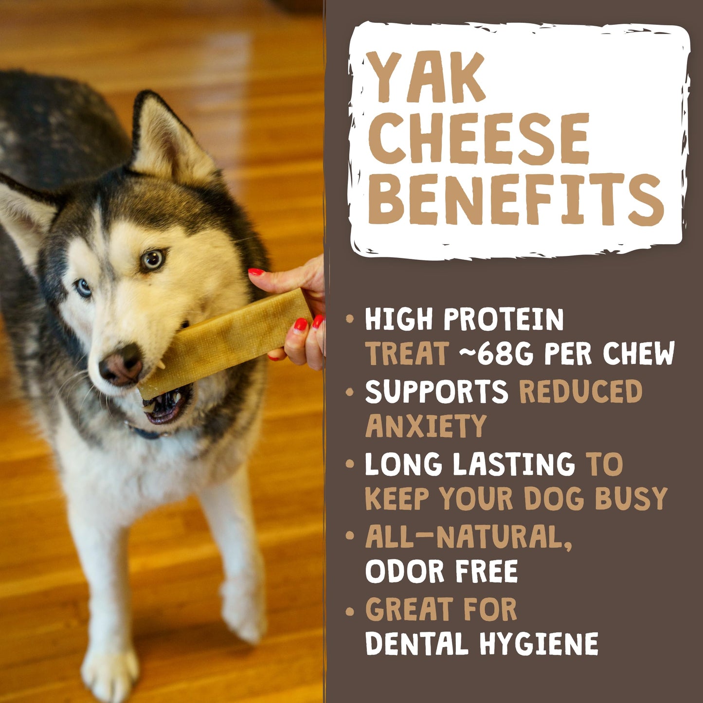 Mighty Paw Yak Cheese Chews for Dogs | All-Natural Long Lasting Pet Treats. Odorless and Great for Oral Health. Limited-Ingredient Chews for Puppies & Power-Chewers (Monster, 12 Pack)