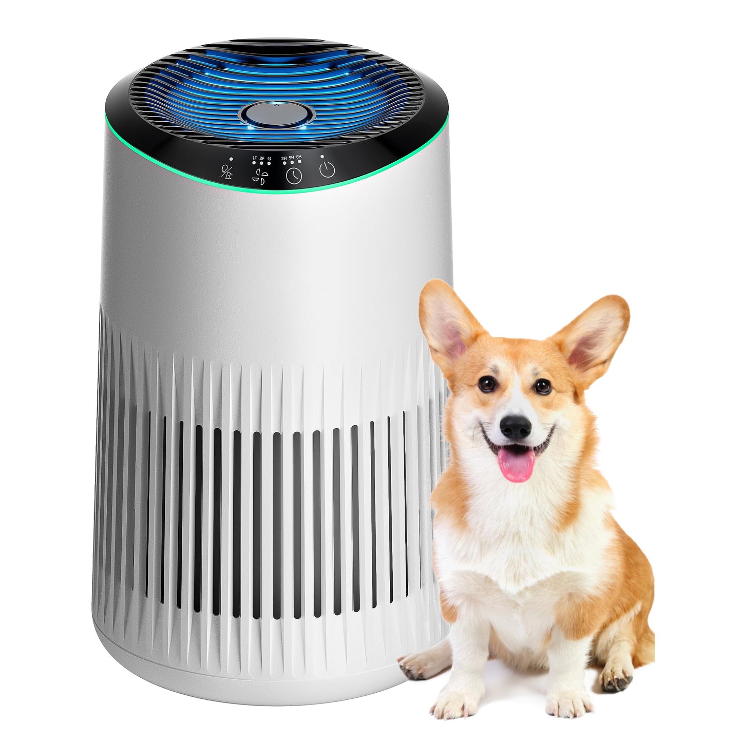 MERONTE Air Purifiers for Bedroom Home, Air Purifier for Smoke Odors with Fragrance Sponge, Small Air Purifier with Sleep Mode for Bedroom Office, Blue Night Light, White, 1 Pack+3 Modes