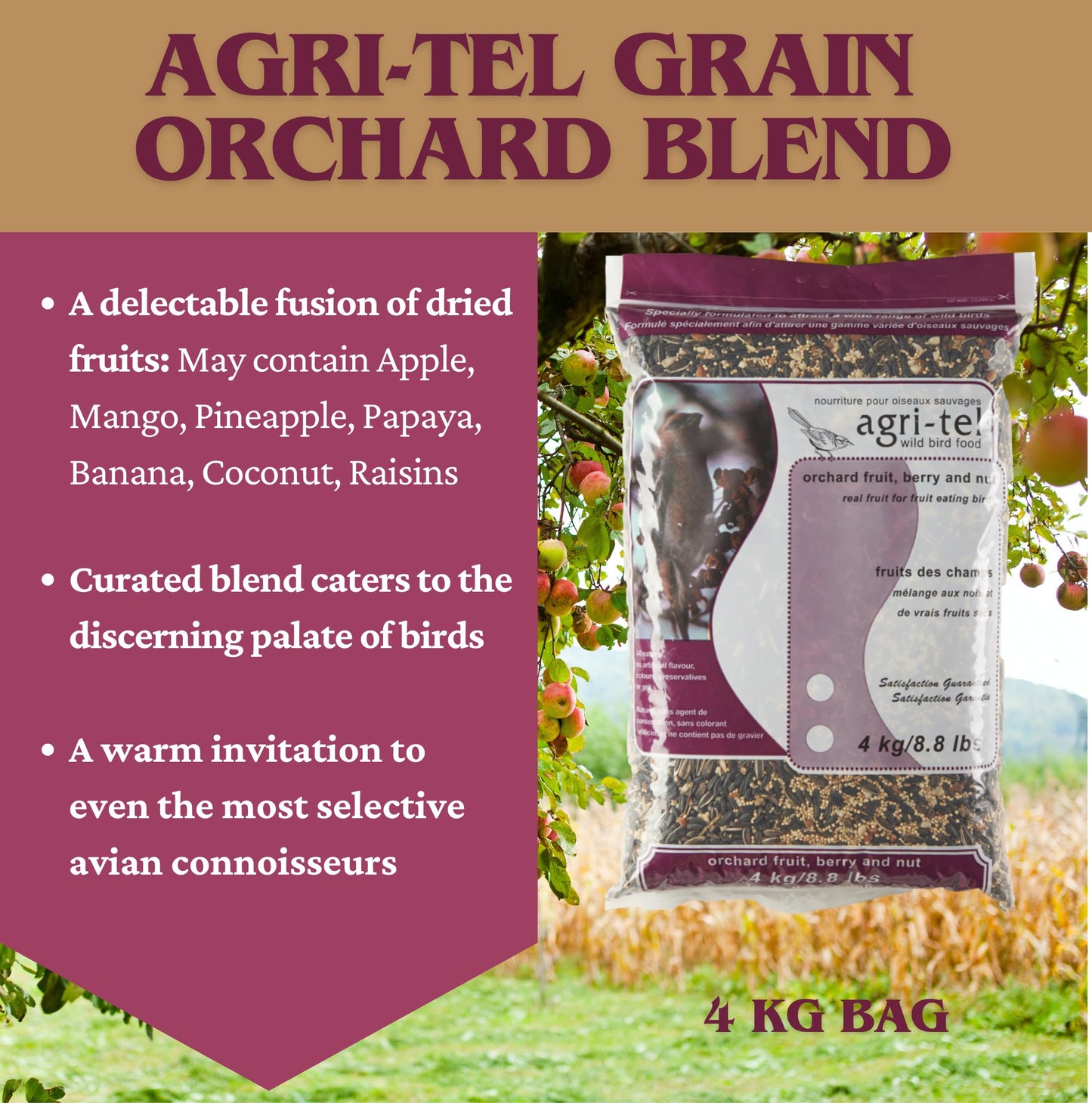 Agri-Tel Orchard Blend Fruit and Nut Bird Seed for Outside Feeders | Wild Songbird, Cardinal, Blue Jay, Finch Bird Food Seed | 4 Kgs, 8.8 Lbs