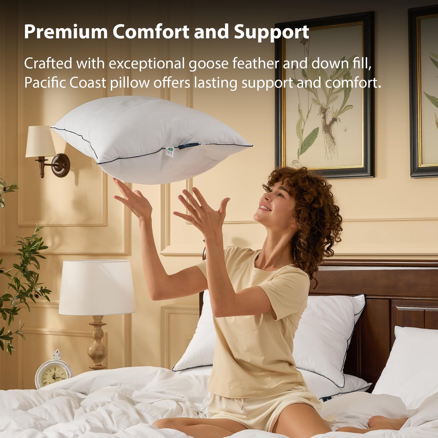 Pacific Coast Premium Goose Feather & Down Bed Pillows, Hotel Quality Collection, Medium Support for Side & Back Sleepers (Queen (Pack of 1))