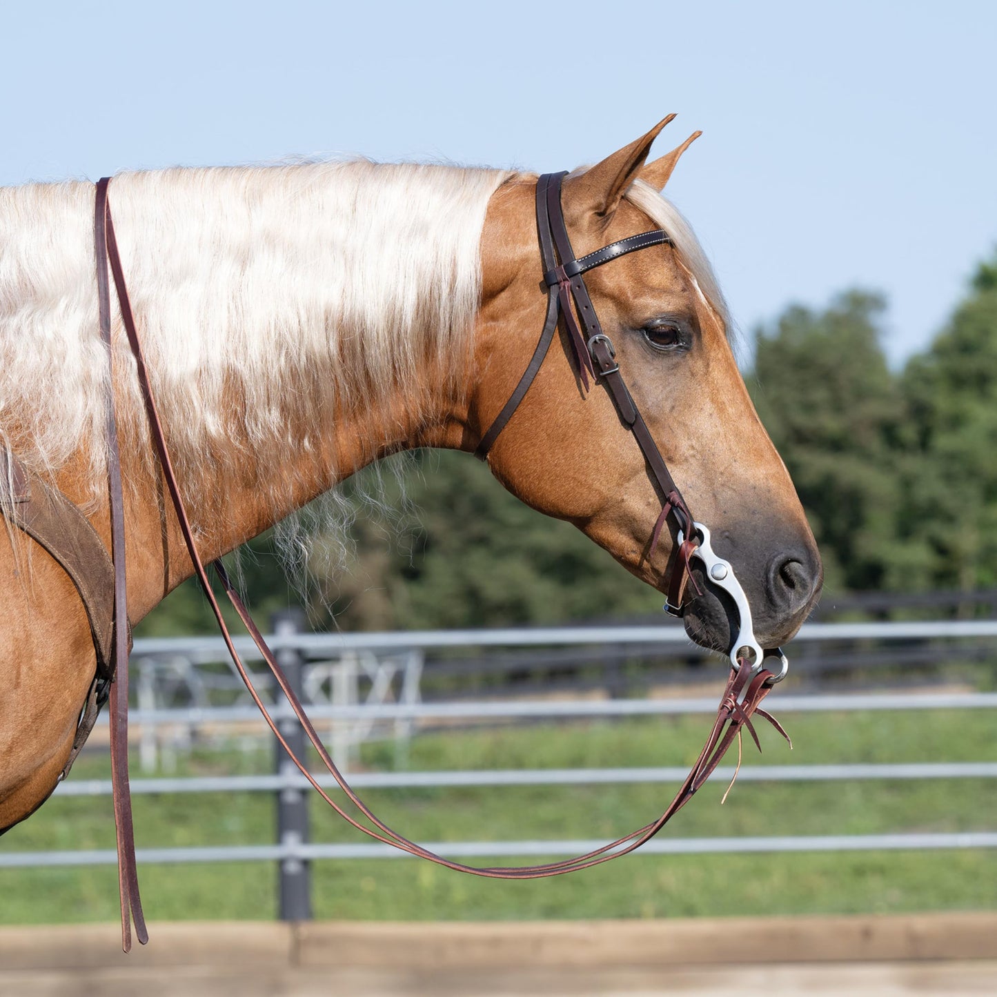 Turquoise Cross Skirting Leather Headstall Dark Oiled Horse Size 45-0150