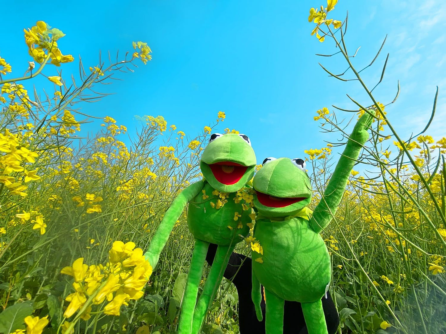 Kermit Frog Puppet, The Muppets Show, Soft Hand Frog Stuffed Plush Toy, Gift Ideas for Boys and Grils- 24 Inches