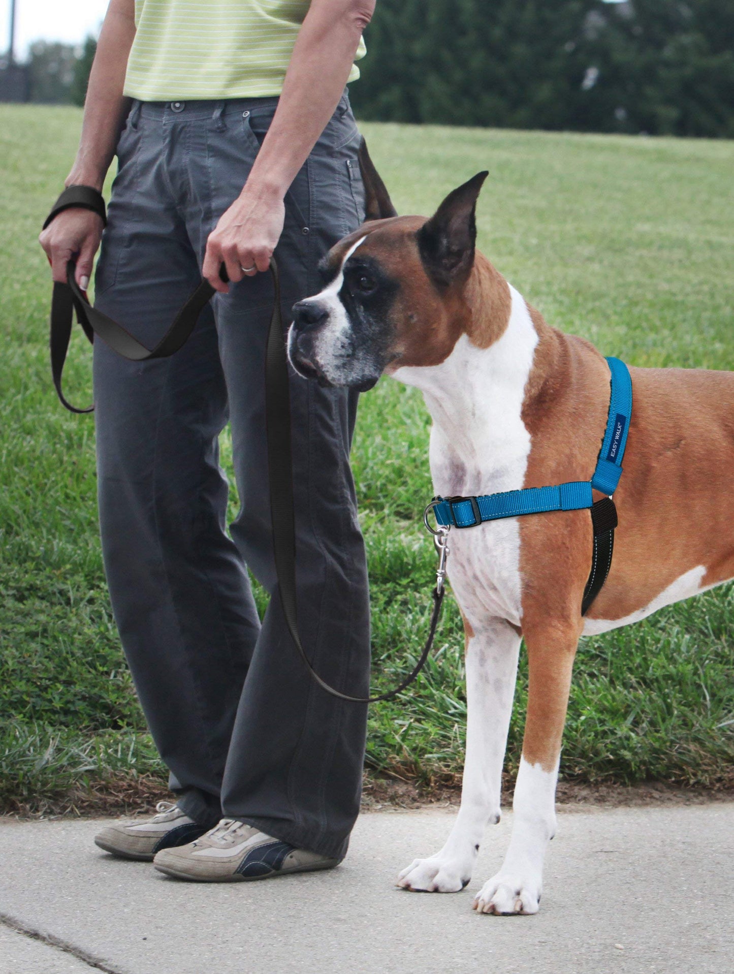 Petsafe EWH-D-HC-M/L-OCN Deluxe Easy Walk Harness, Medium/Large, Ocean Blue