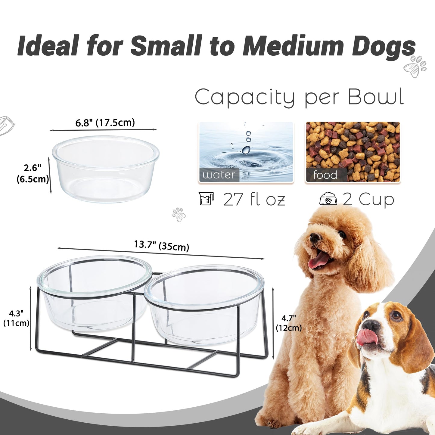 Glass Elevated Dog Bowl Set - Raised Food and Water Bowls with Metal Stand - Pet Dishes for Small and Medium Dogs - 2 Cups (27 fl oz) Each - Transparent