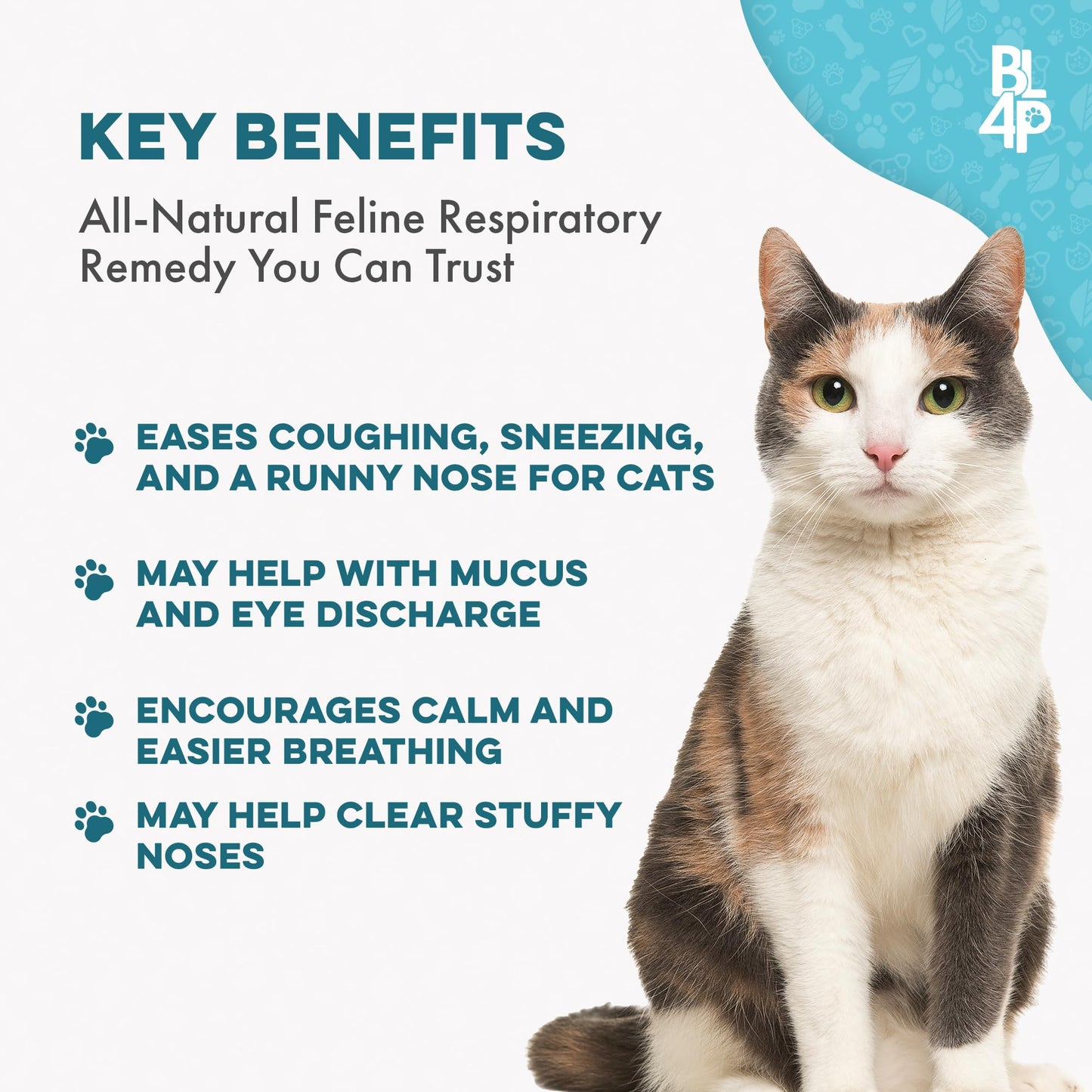 Cat Cold & Respiratory Infection Remedy, Breathe Easy Upper Respiratory Treatment for Cats Provides Natural Relief for Sneezing, Coughing, Nasal Congestion and Asthma, 400 Odorless, Tasteless Pills