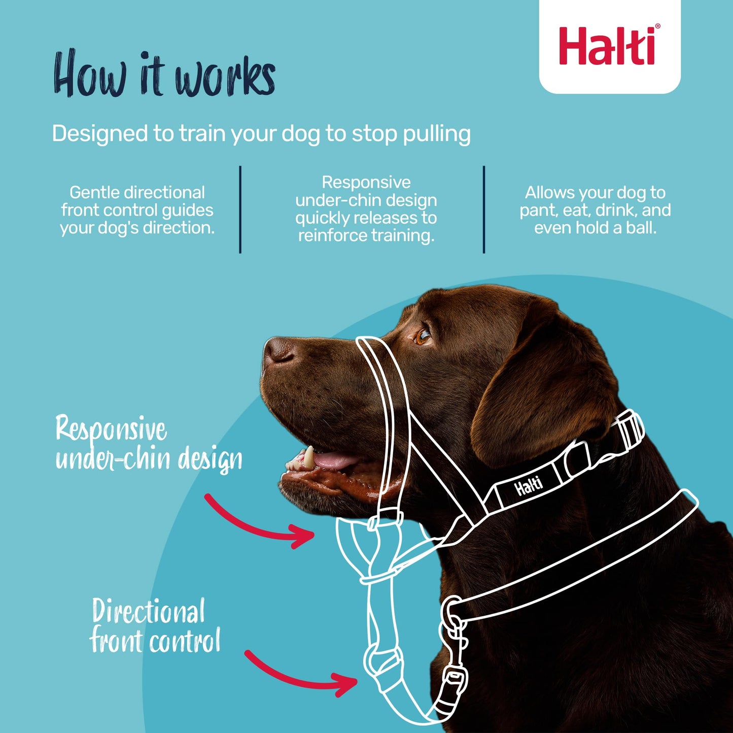 HALTI Headcollar - to Stop Your Dog Pulling on The Leash. Adjustable, Reflective and Lightweight, with Padded Nose Band. Dog Training Anti-Pull Collar for Large Dogs (Size 5, Black)