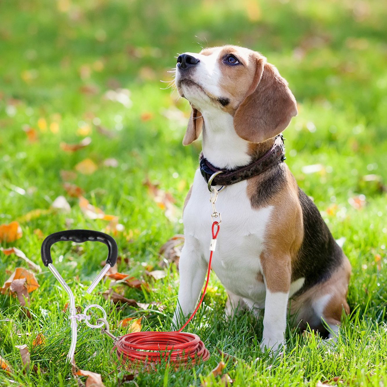 New Downtown Pet Supply Premium Steel Spiral Tie Out Stake with 10 Foot Cable