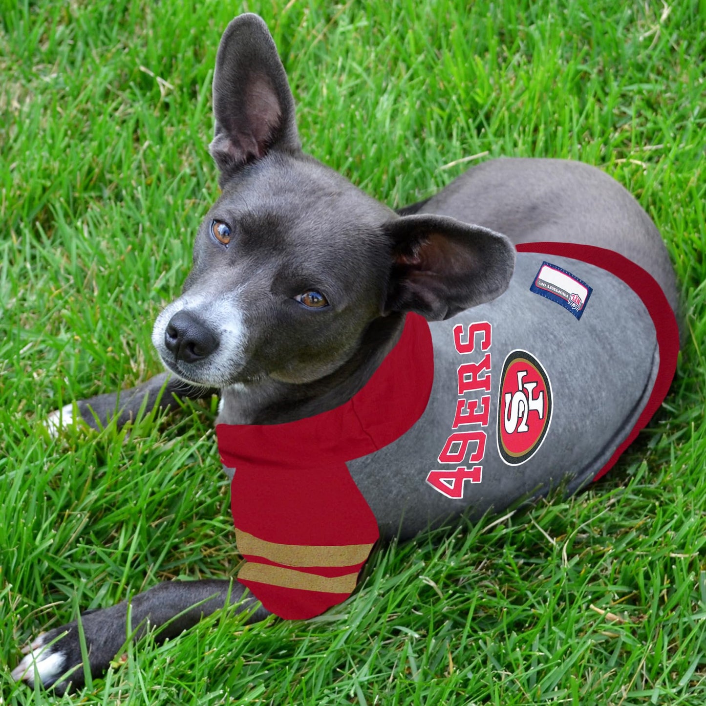 NFL SAN Francisco 49ERS Hoodie for Dogs & Cats. | NFL Football Licensed Dog Hoody Tee Shirt, Medium | Sports Hoody T-Shirt for Pets | Licensed Sporty Dog Shirt.