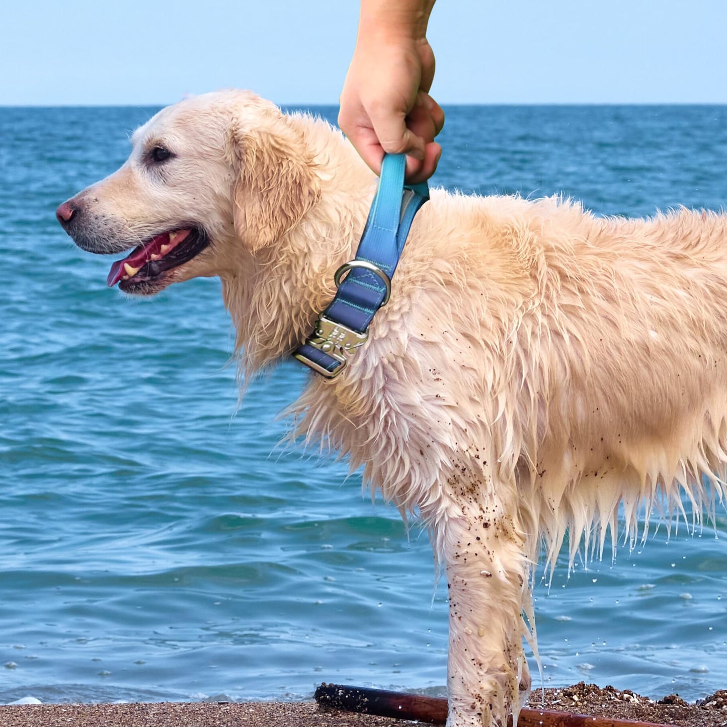 Comfluxe Tactical Dog Collar, Wide Thick Heavy Duty Dog Collar with Handle, Soft Neoprene Padded Military-Grade Nylon Training Collar with Quick Release Metal Buckle for Large Dogs (Blue, M)