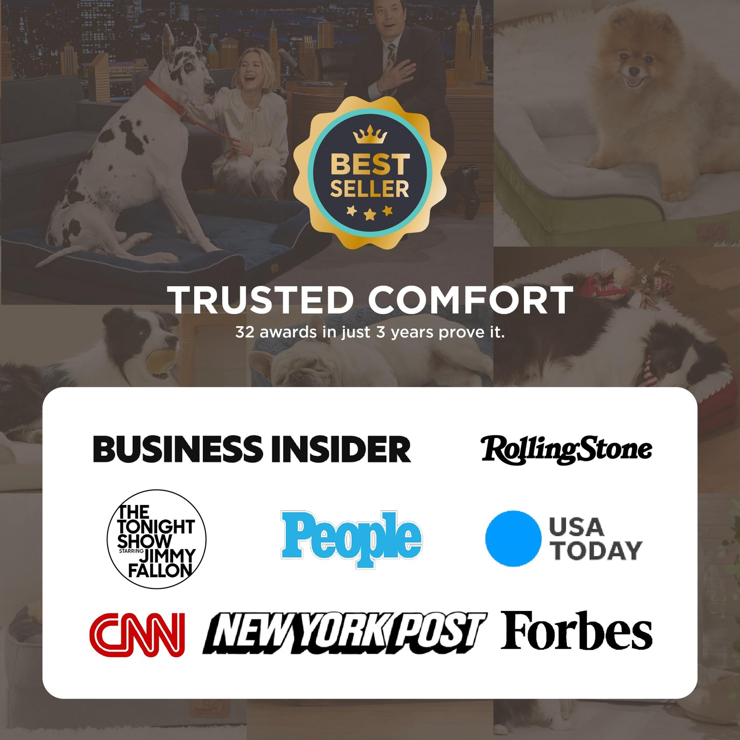 Bedsure Orthopedic Dog Bed - Bolster Dog Sofa Beds for Small Dogs, Supportive Foam Pet Bed with Removable Washable Cover, Waterproof Lining and Nonskid Bottom Couch, Grey