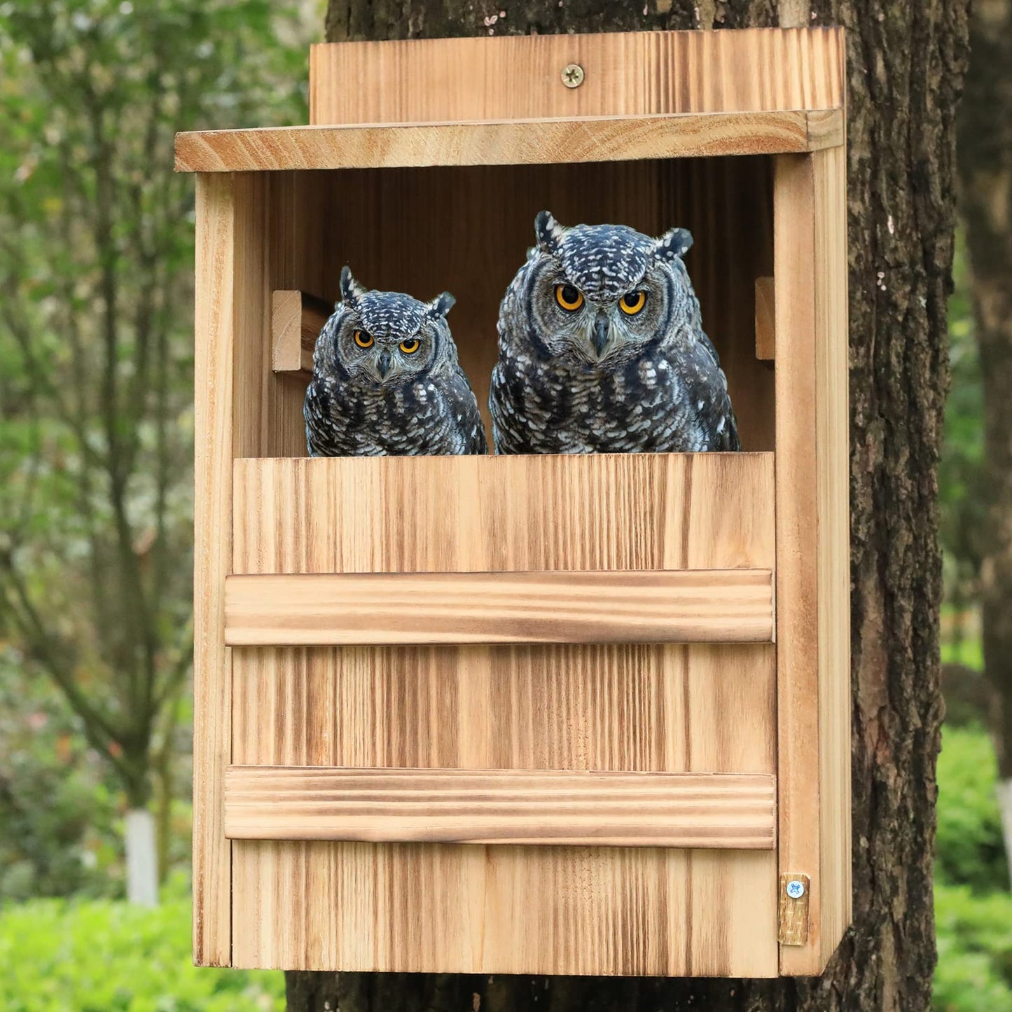 Owl House for Outdoors,Screech Owl Nesting Box, Saw Whet Bird House for Outside,Large Wood Bird Box